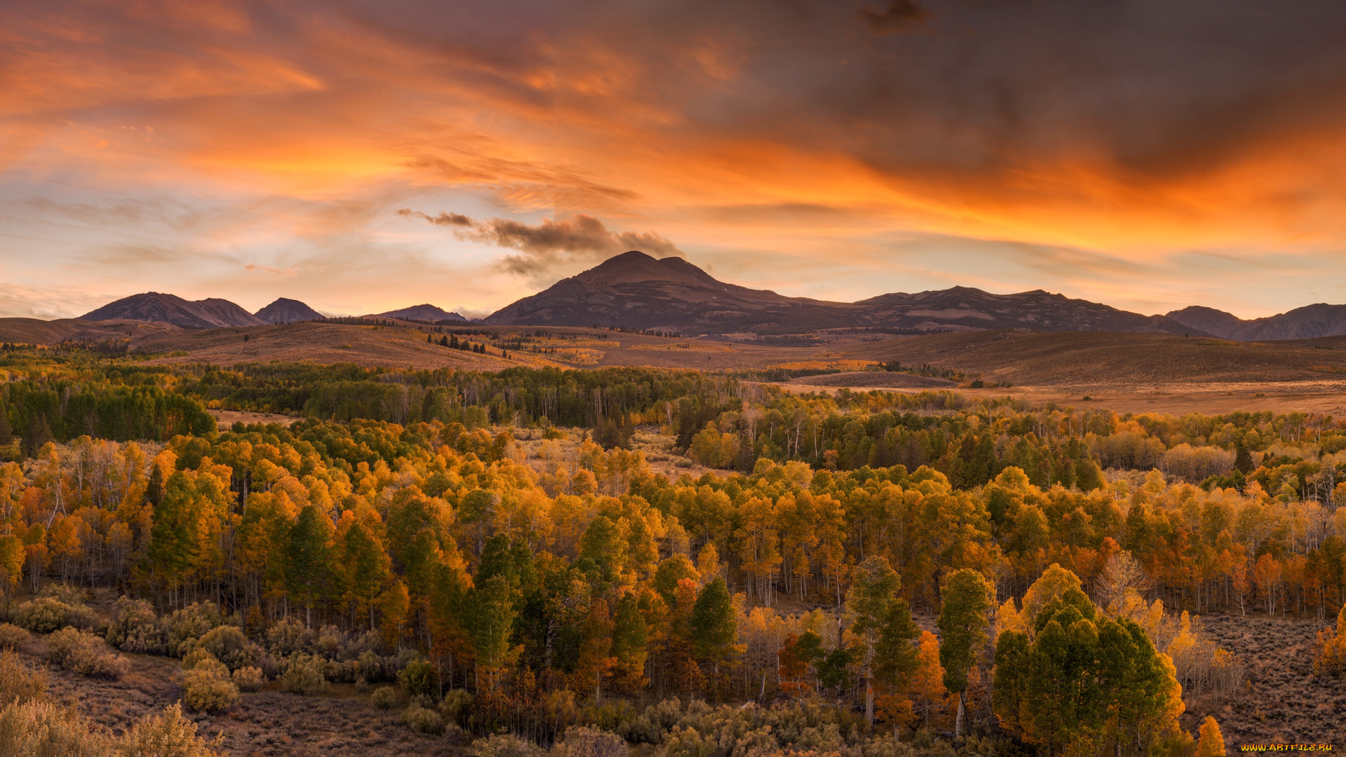 природа, пейзажи, простор