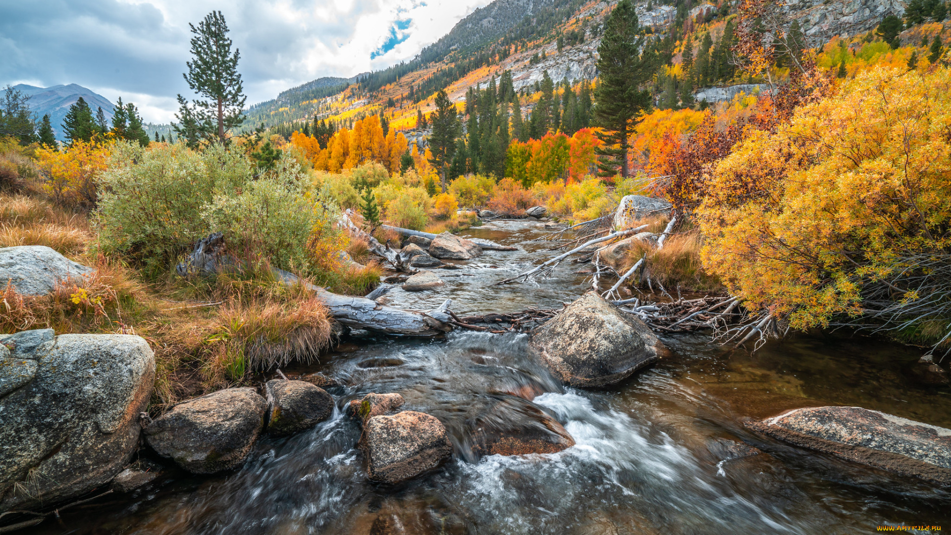 природа, реки, озера, простор