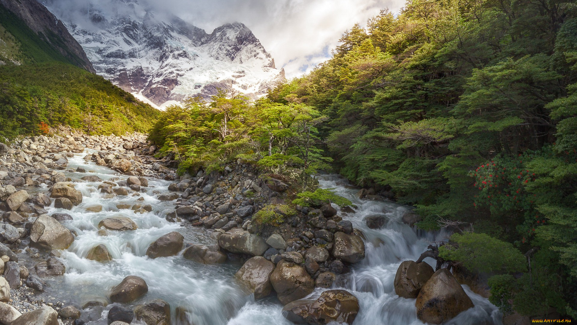 природа, реки, озера, простор