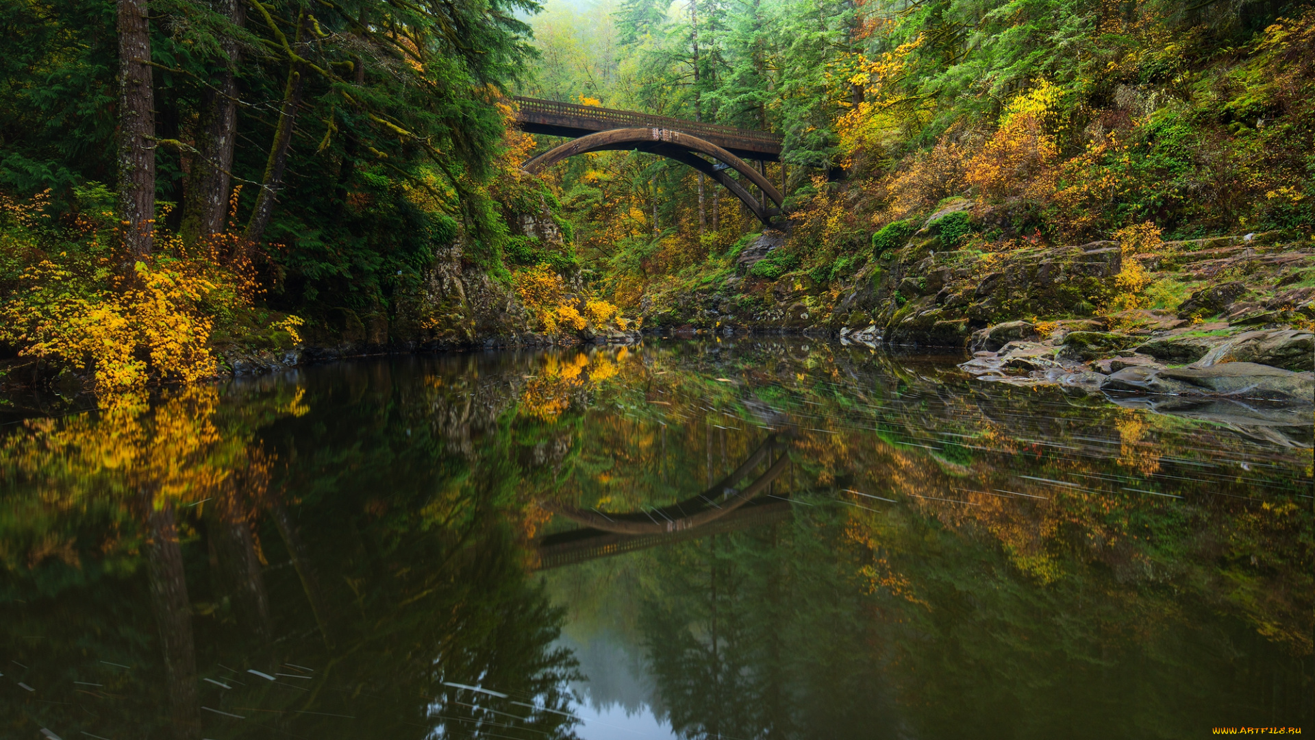 природа, реки, озера, простор