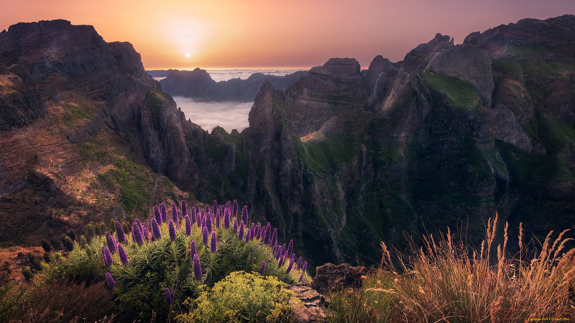 природа, восходы, закаты, простор