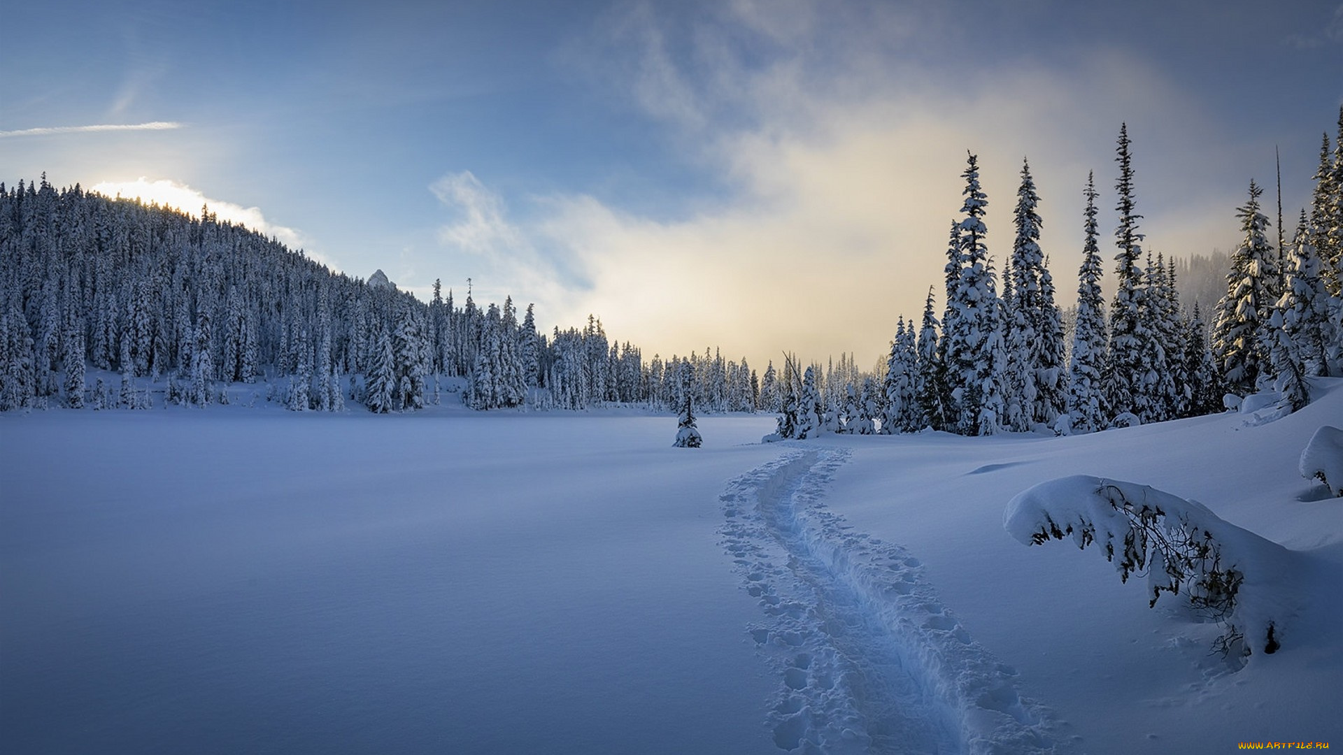 природа, зима, простор