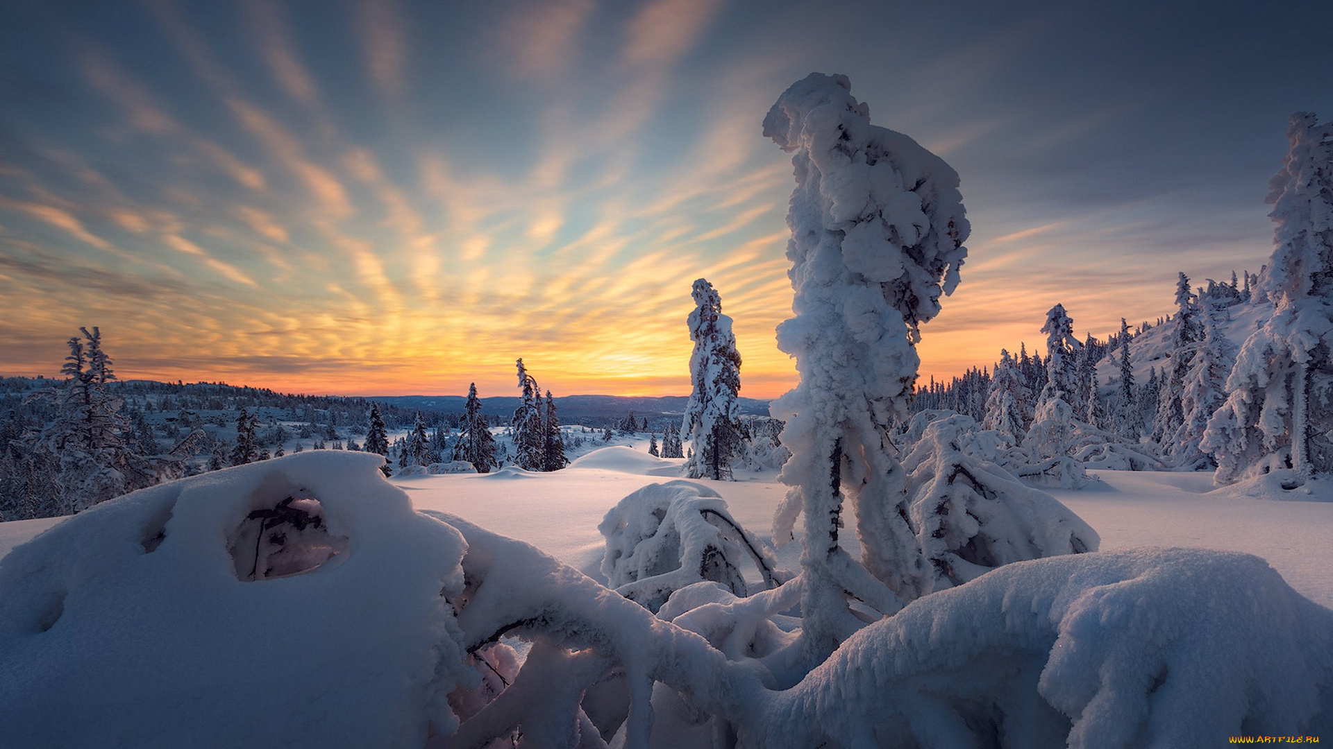 природа, зима, простор