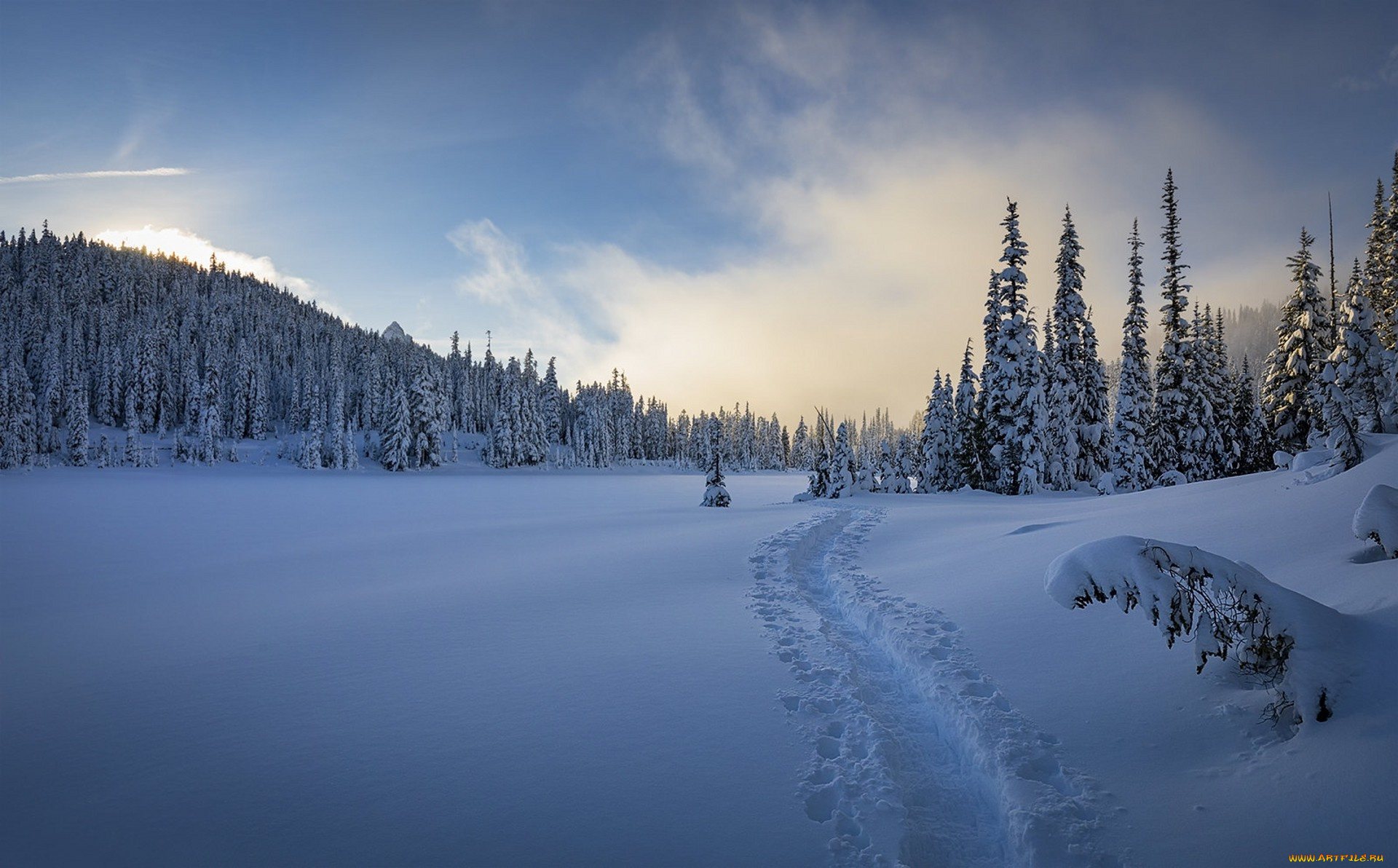 природа, зима, простор