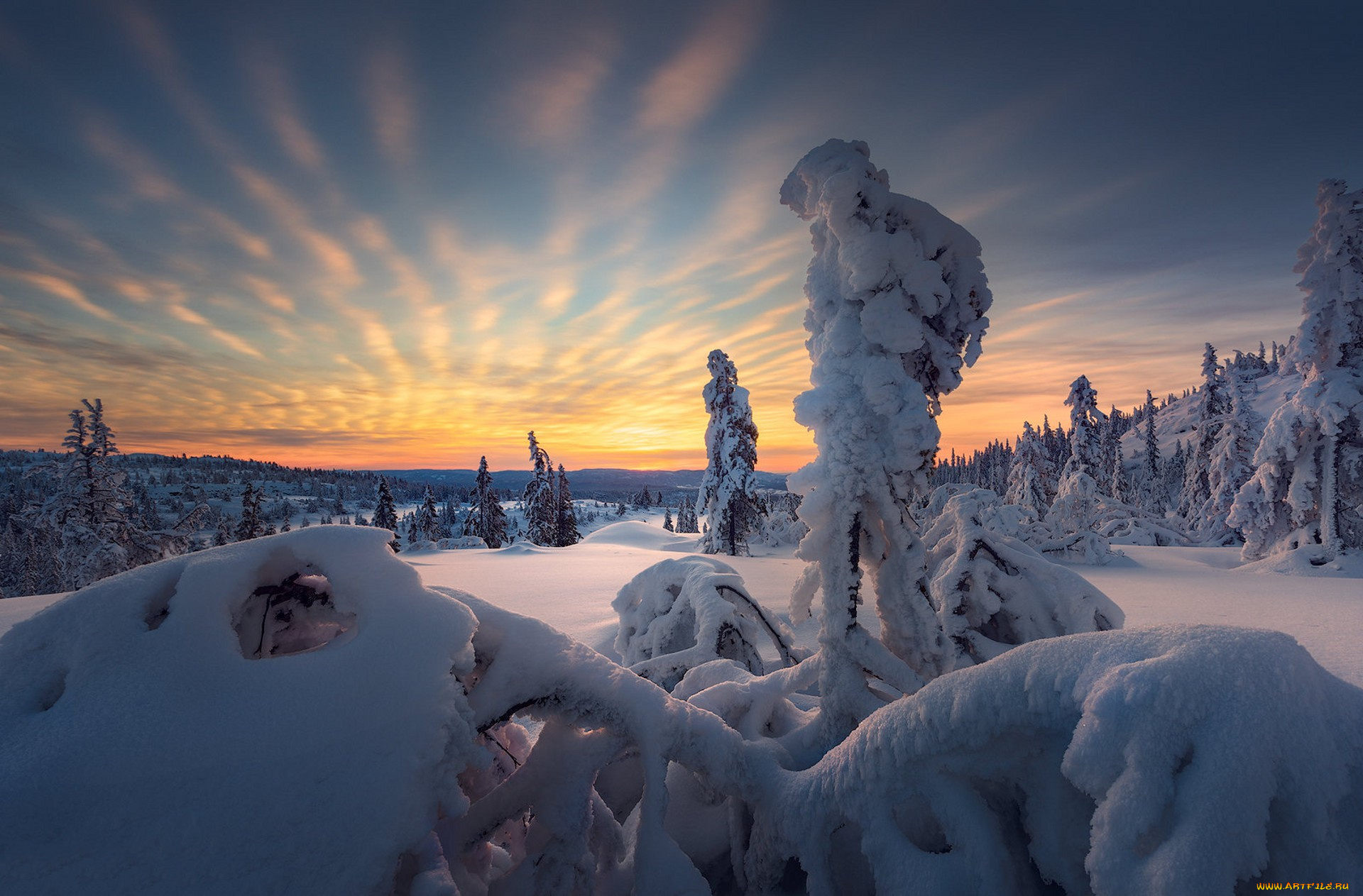 природа, зима, простор