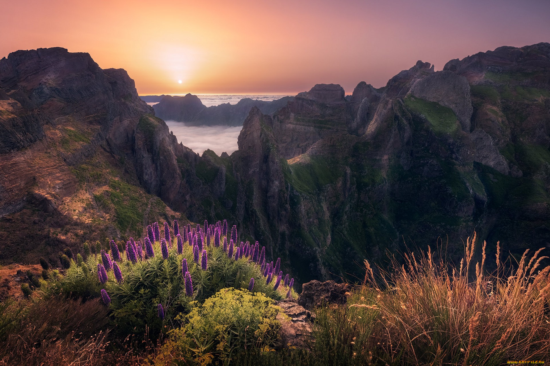 природа, восходы, закаты, простор