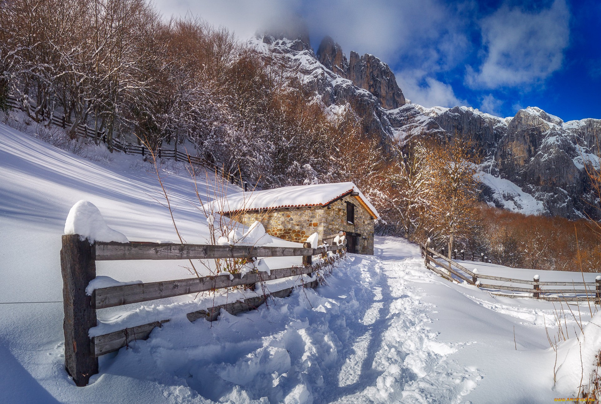 природа, зима, простор