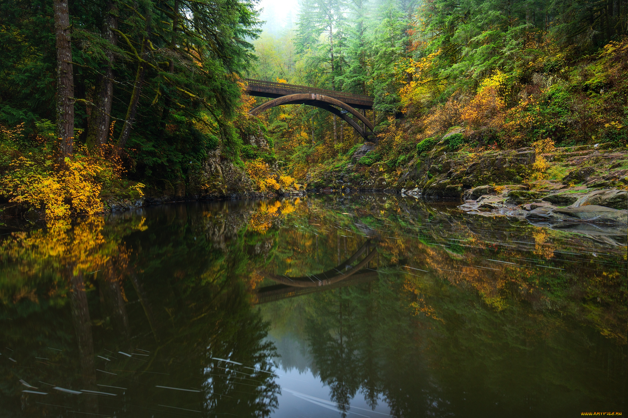 природа, реки, озера, простор