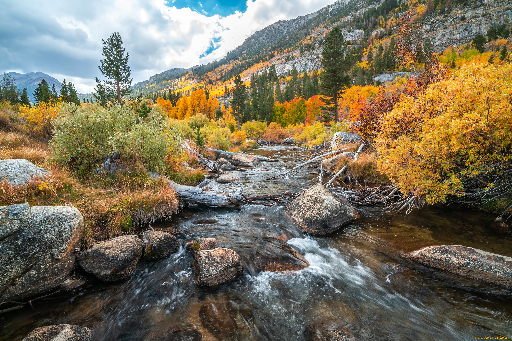 природа, реки, озера, простор