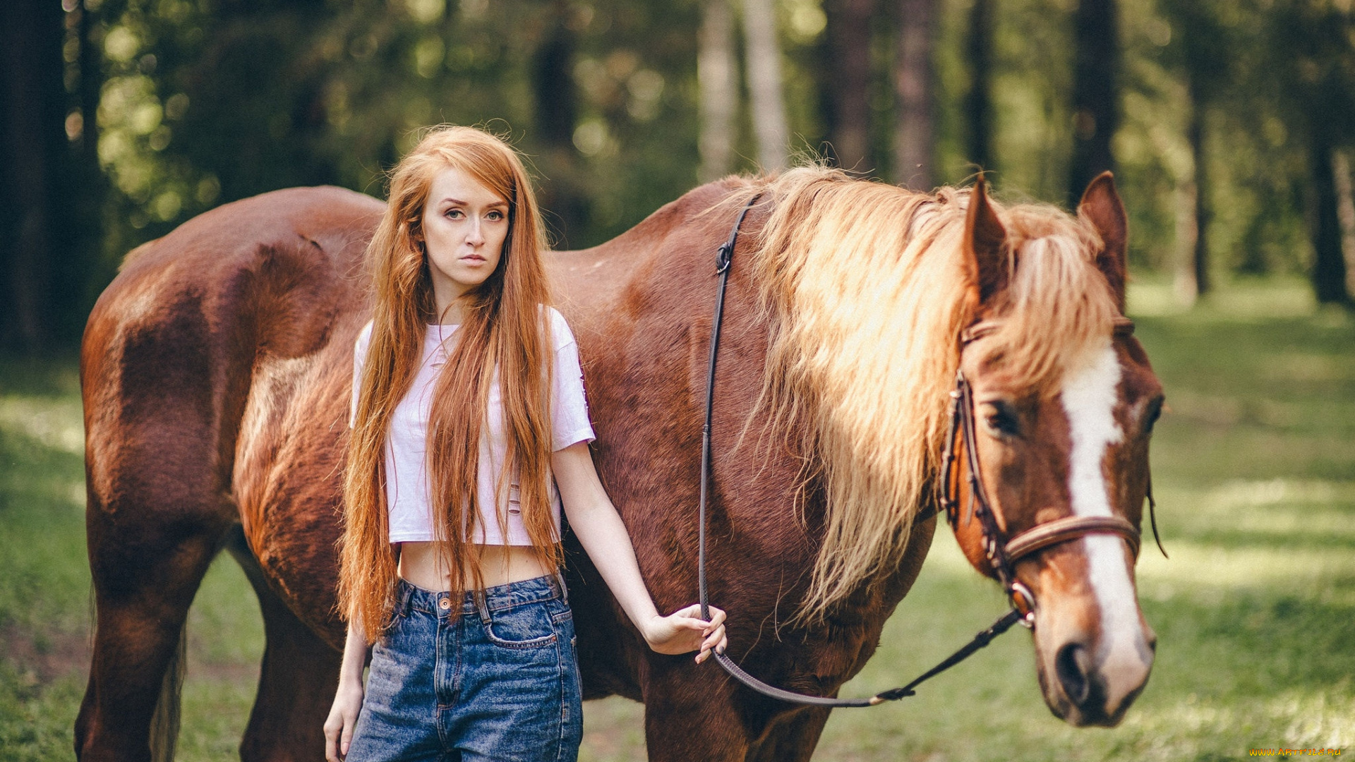 девушки, -, рыжеволосые, и, разноцветные, джинсы, рыжеволосая, лошадь