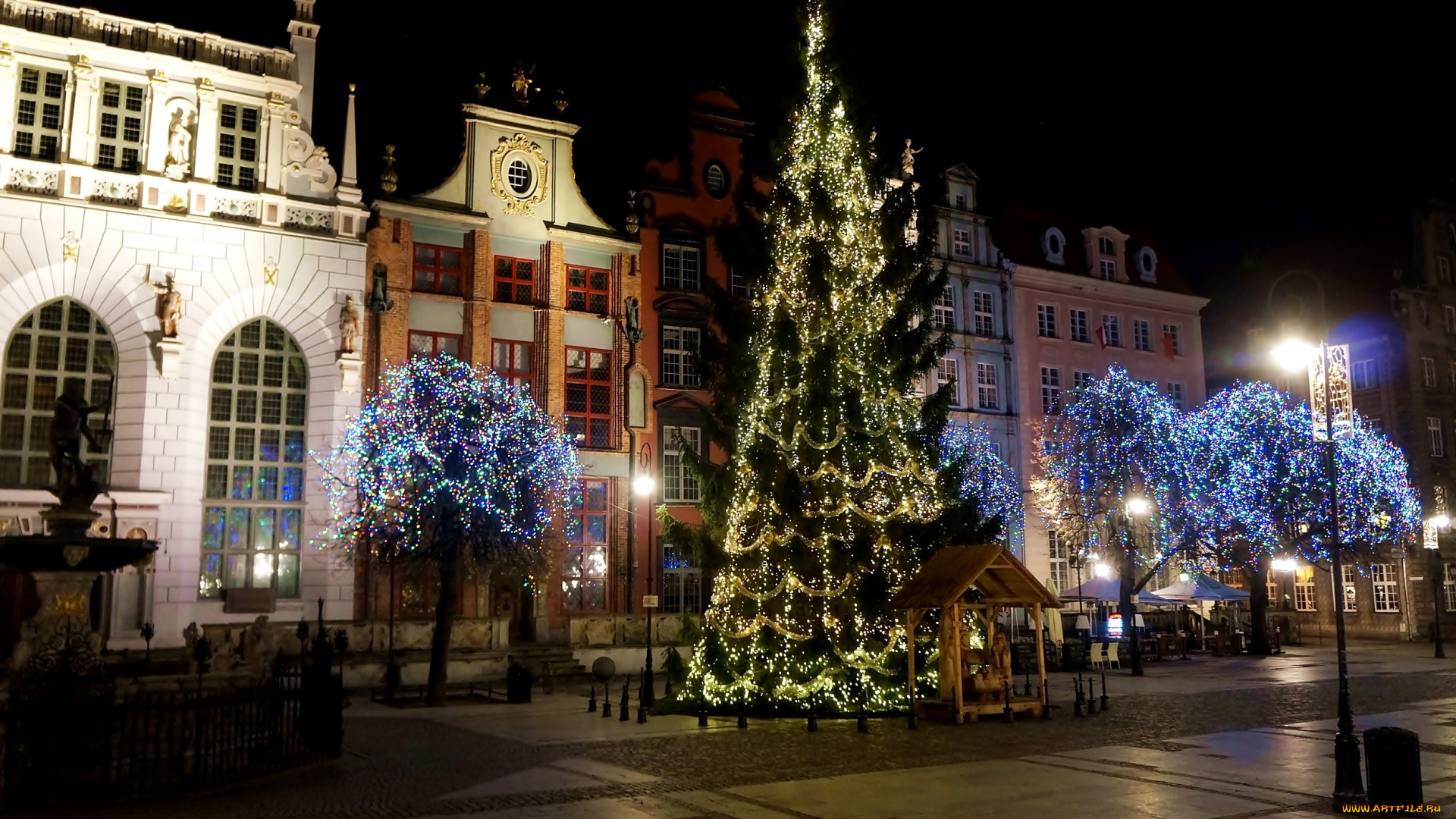 города, гданьск, , польша, улица, вечер, елка
