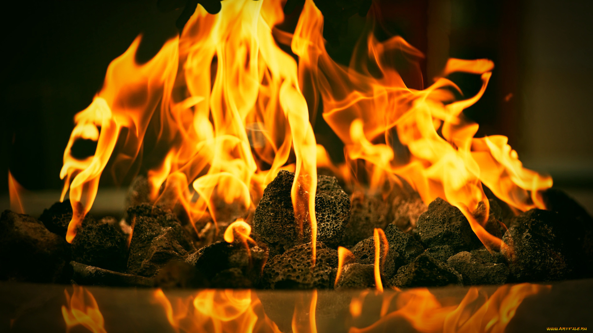 природа, огонь, угли, пламя