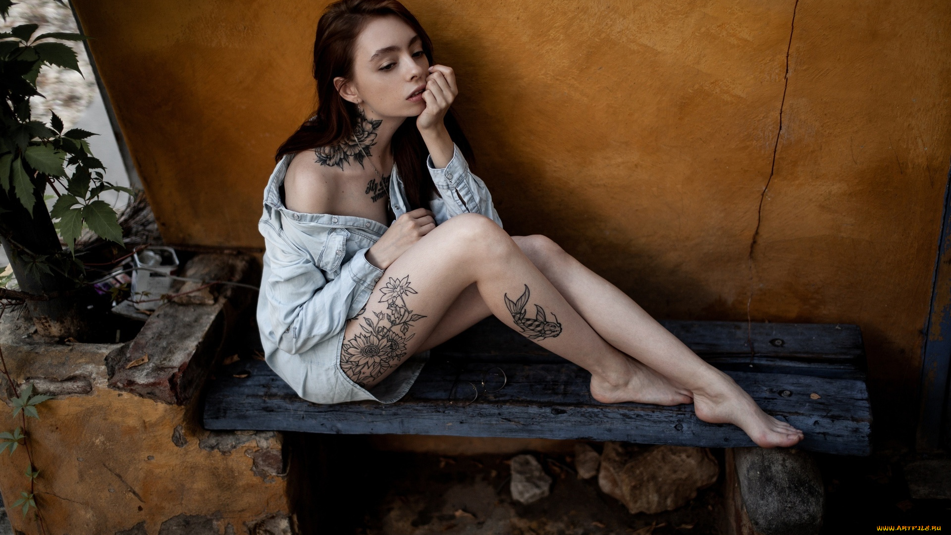 девушки, -, брюнетки, , шатенки, шатенка, тату, рубашка, скамейка, jesse, mae