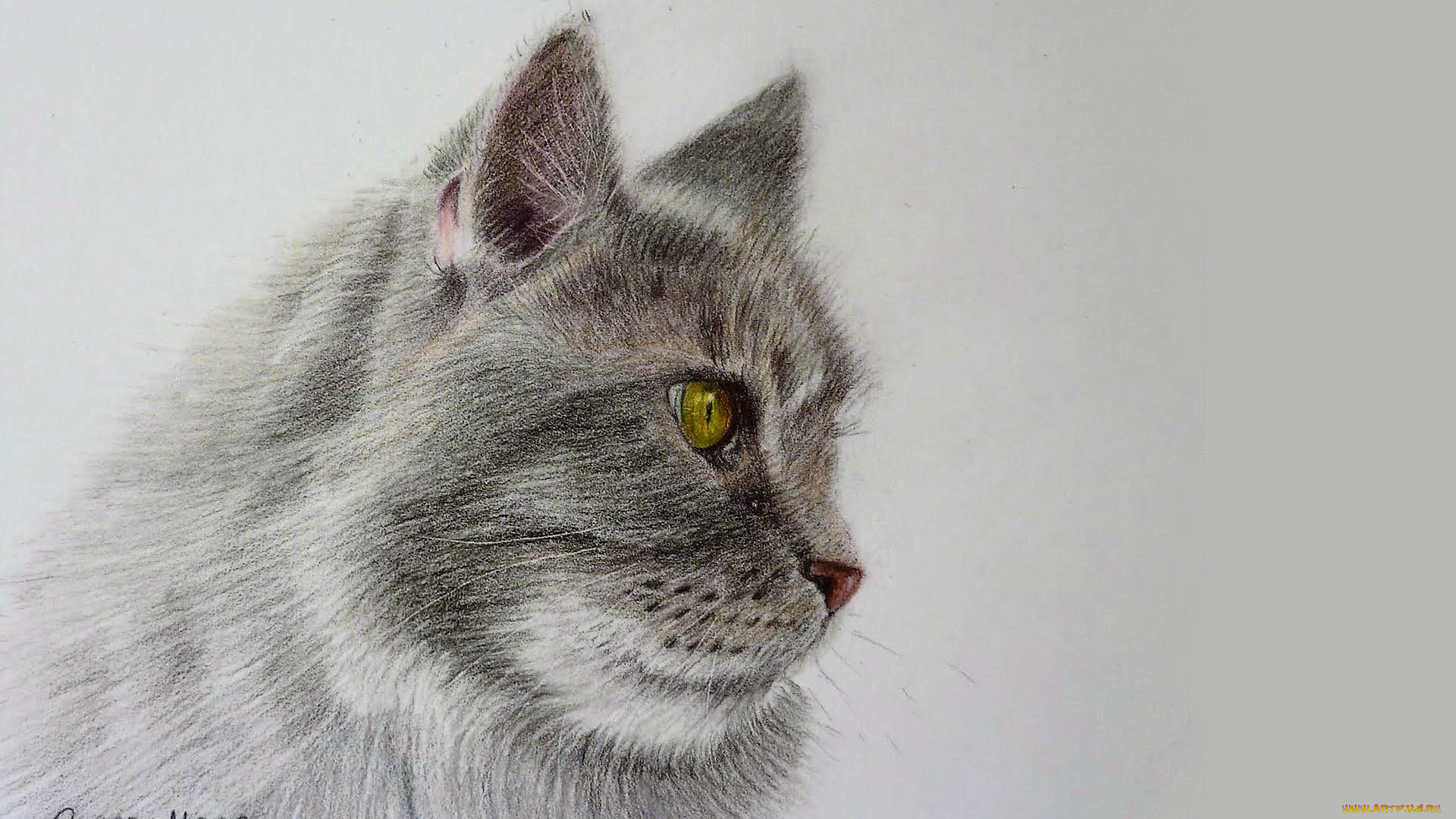 рисованное, chrissy, marie, кот