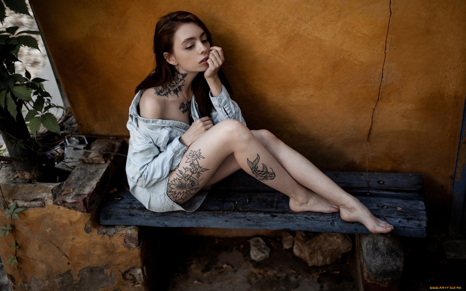 девушки, -, брюнетки, , шатенки, шатенка, тату, рубашка, скамейка, jesse, mae