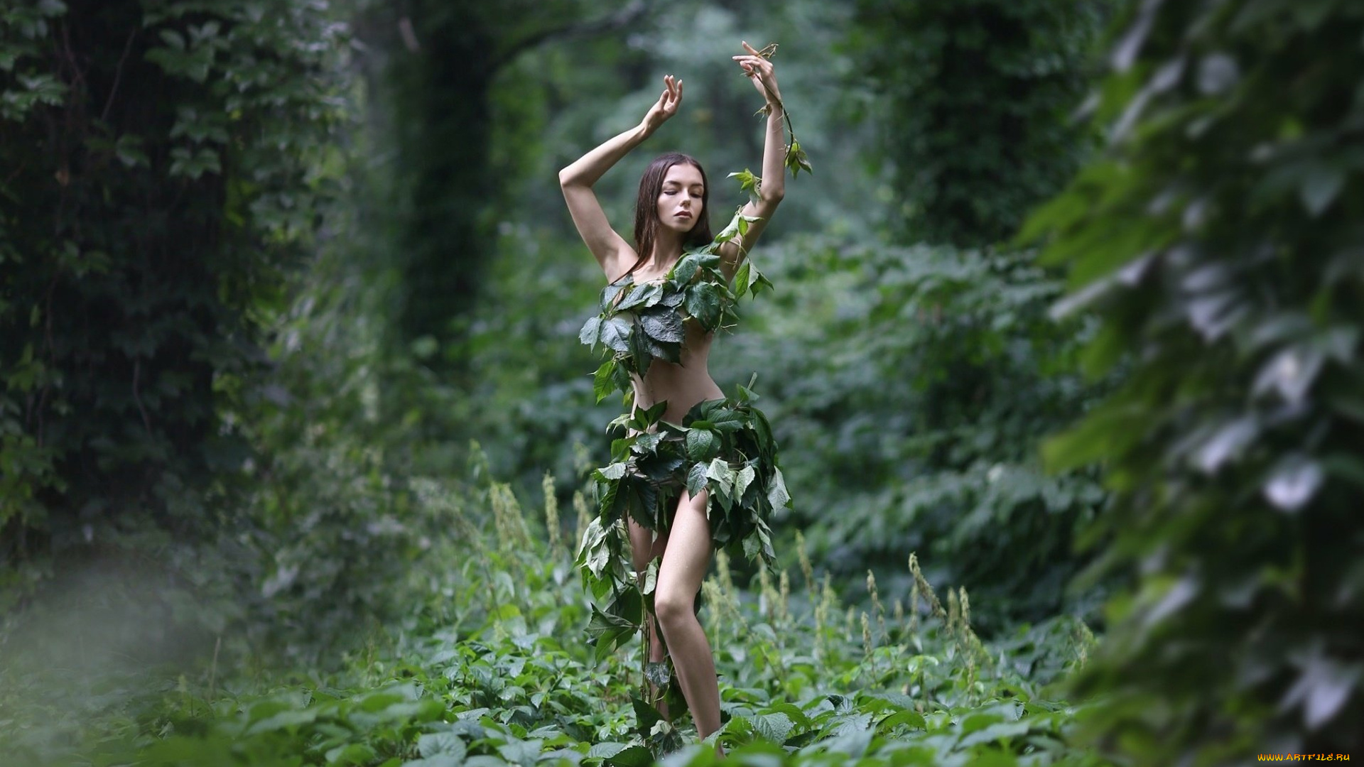 девушки, -, брюнетки, , шатенки, девушка, лес