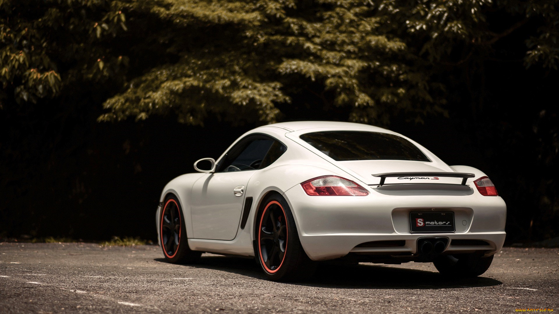 автомобили, porsche, белый, парковка, деревья