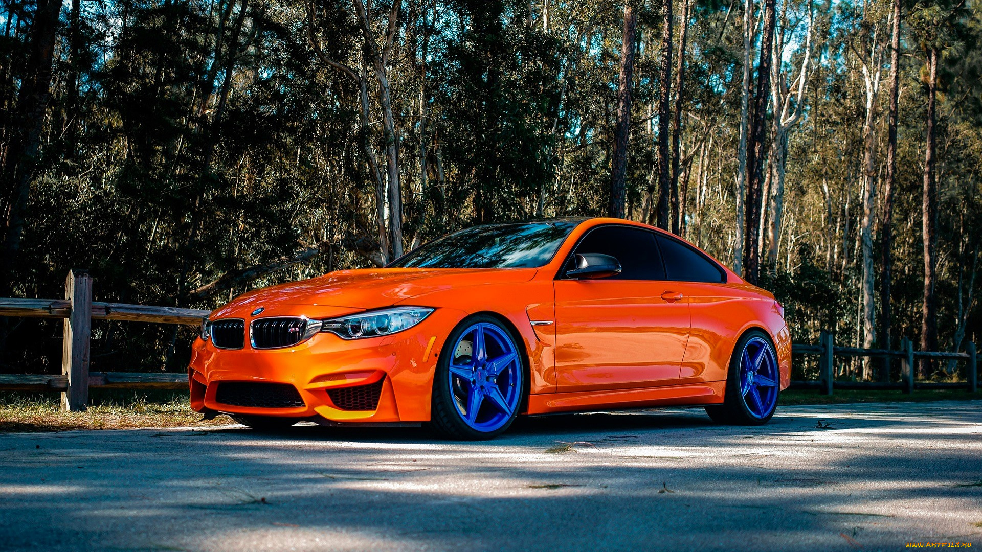 bmw, m4, автомобили, bmw, оранжевый, забор, площадка, лес