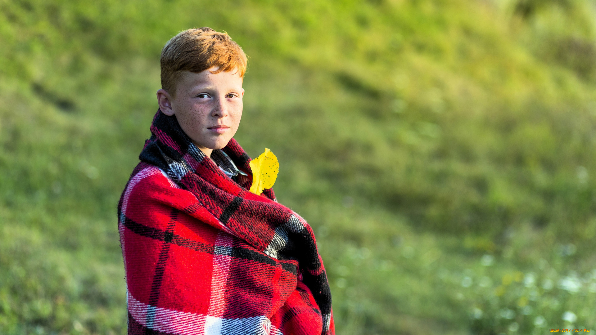 разное, дети, мальчик, подросток, рыжий, плед, лист, трава, лужайка