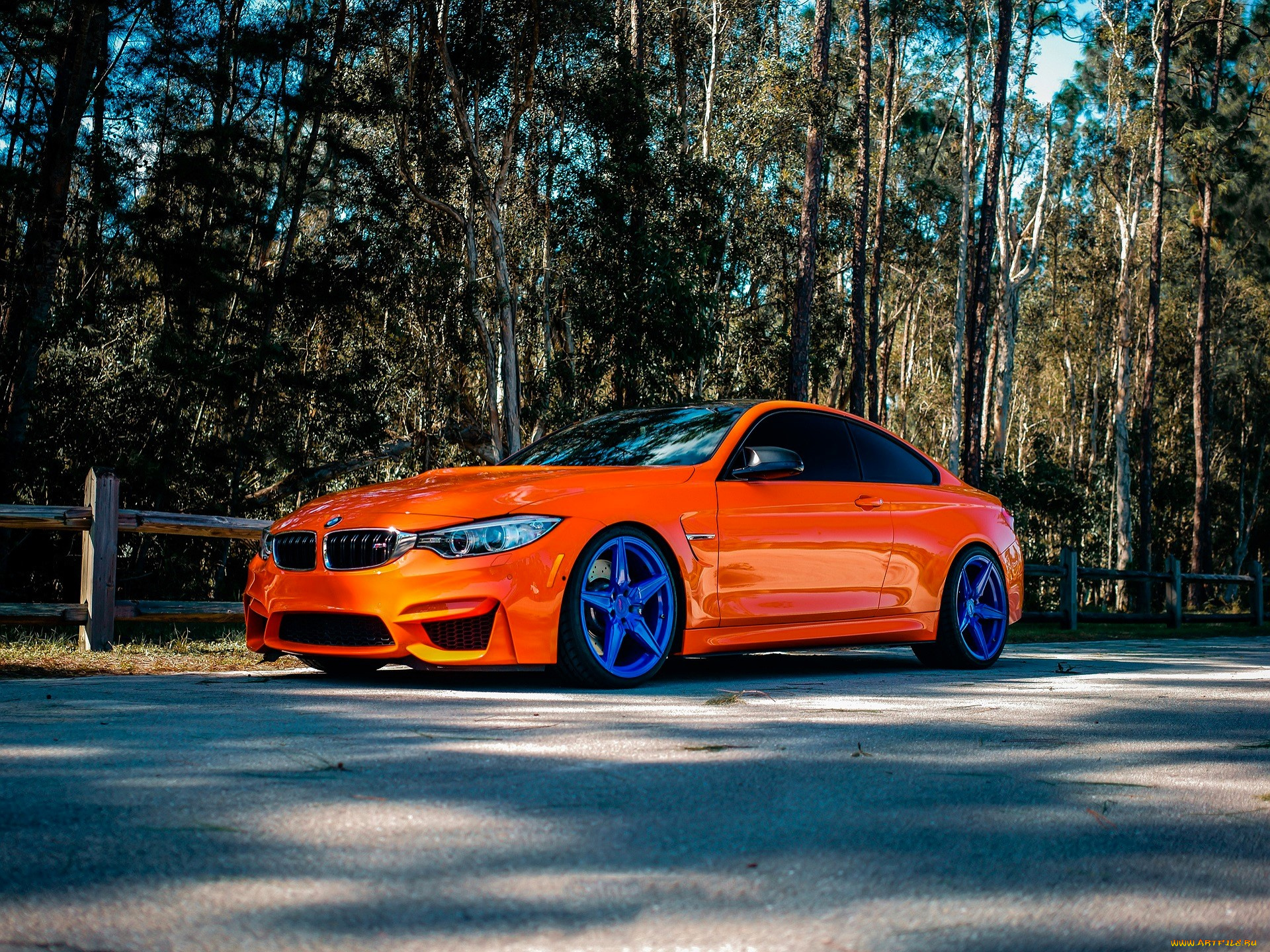 bmw, m4, автомобили, bmw, оранжевый, забор, площадка, лес