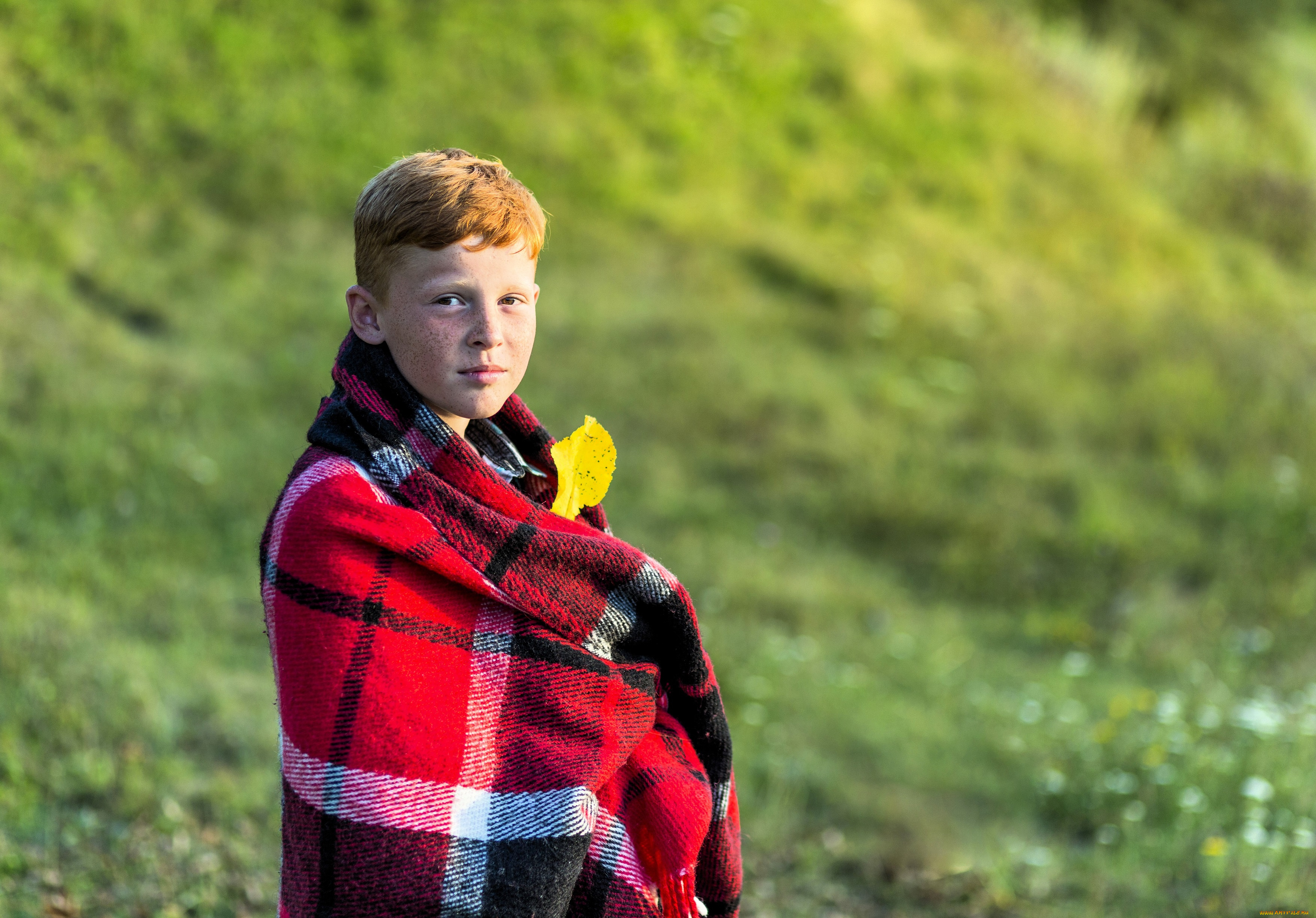 разное, дети, мальчик, подросток, рыжий, плед, лист, трава, лужайка