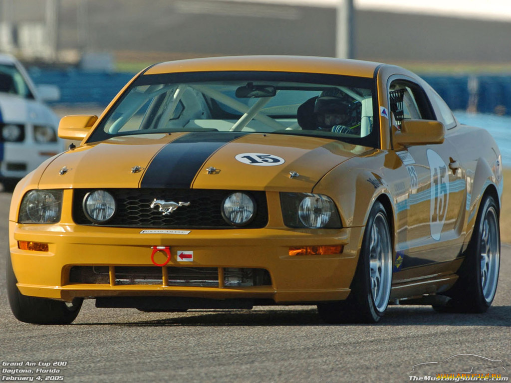 ford, mustang, спорт, автоспорт