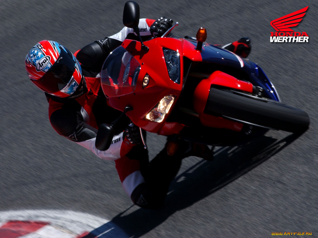 honda, cbr, мотоциклы