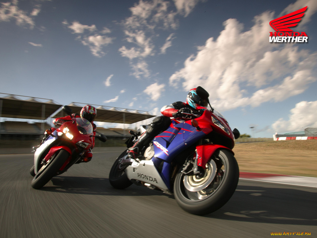 honda, cbr, мотоциклы