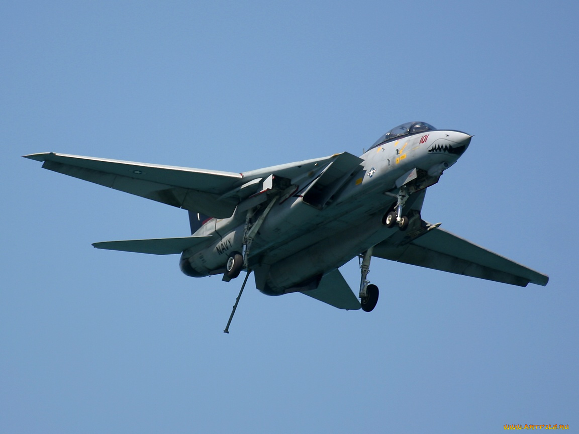 f14, авиация, боевые, самолёты