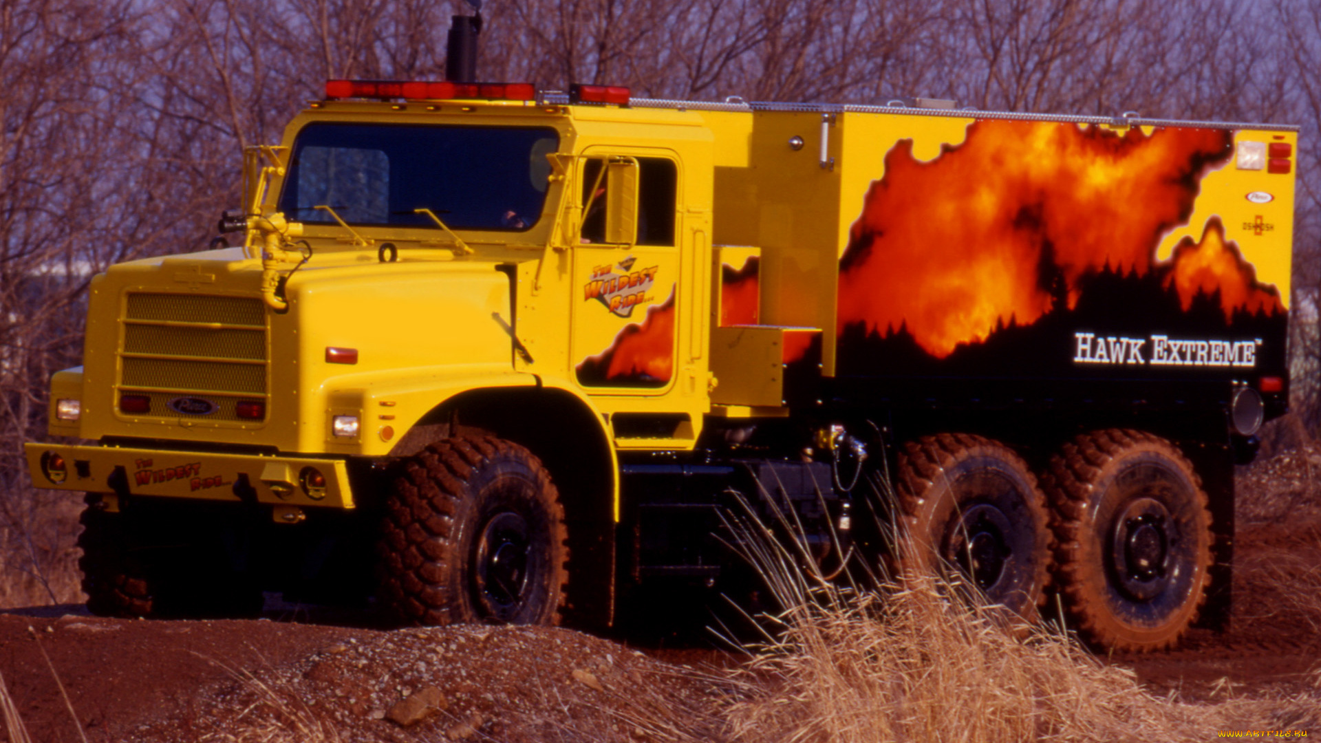 автомобили, грузовики