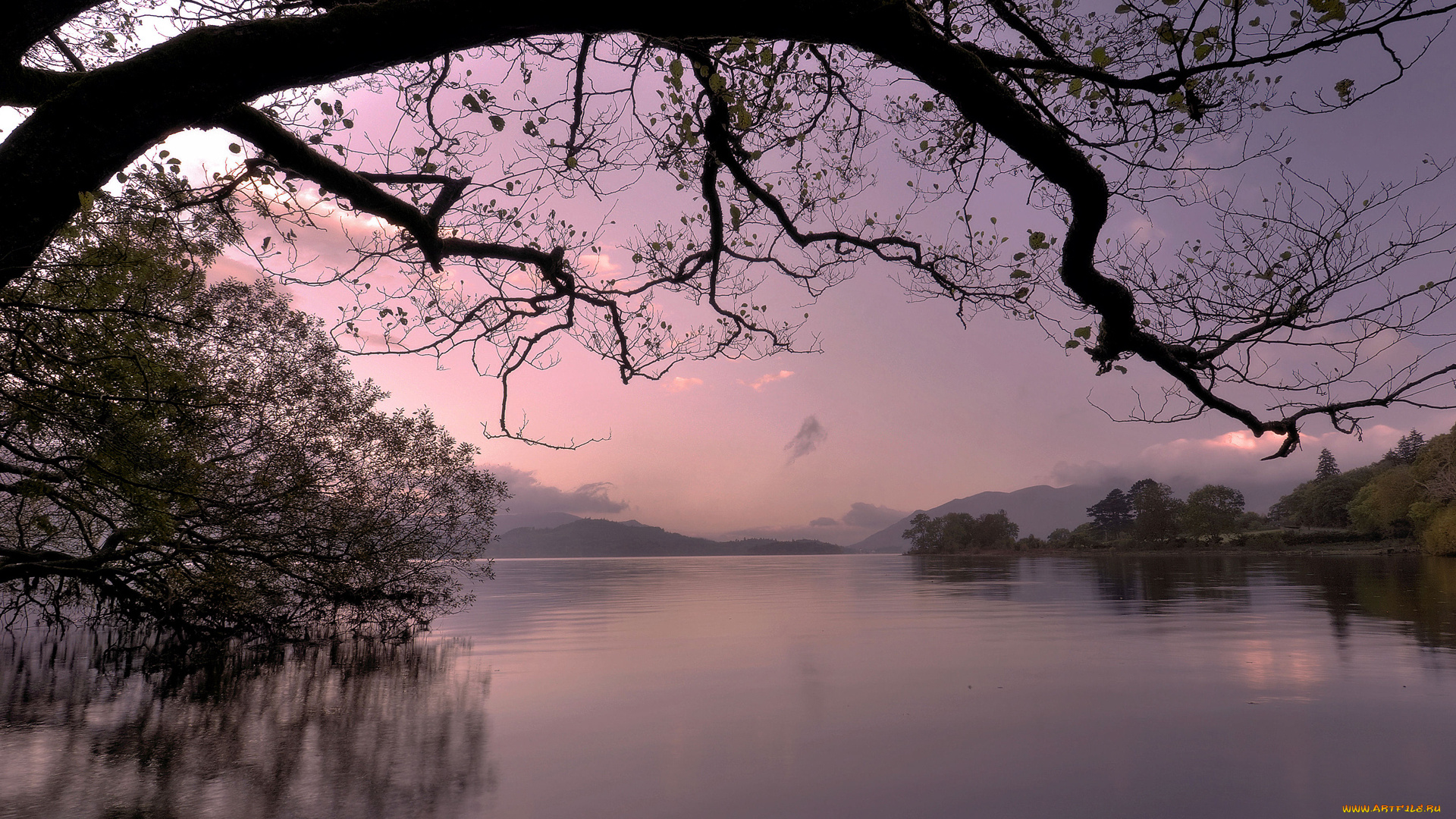 природа, реки, озера, деревья, озеро