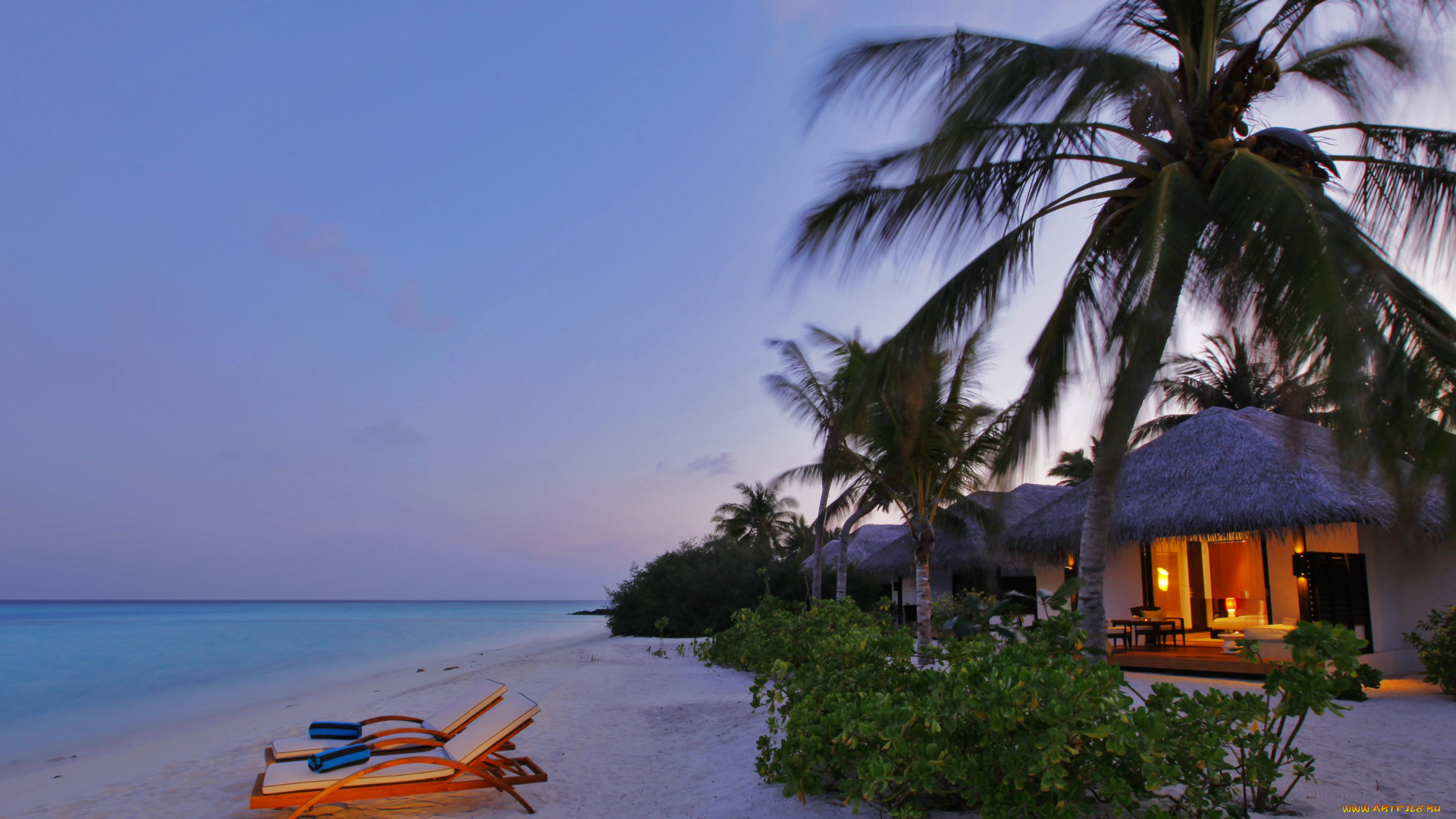 природа, тропики, лежаки, море, побережье, бунгало, пальмы