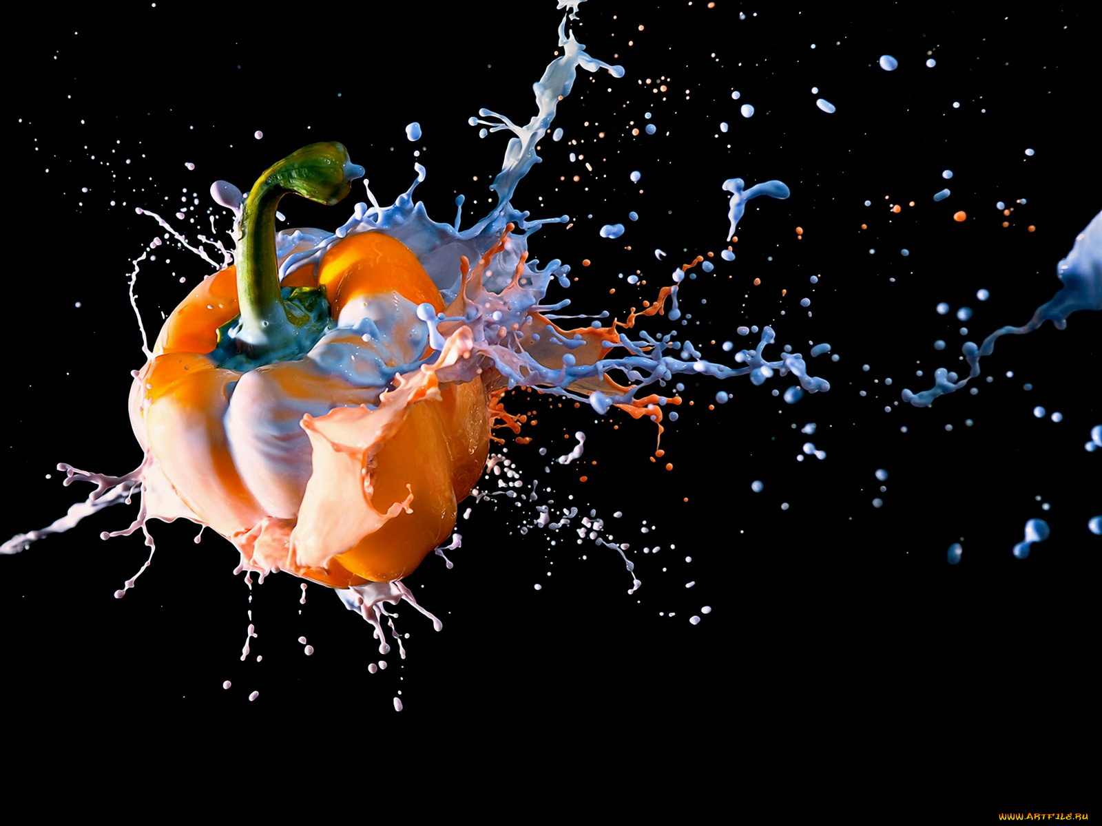 еда, перец, бризги, фон