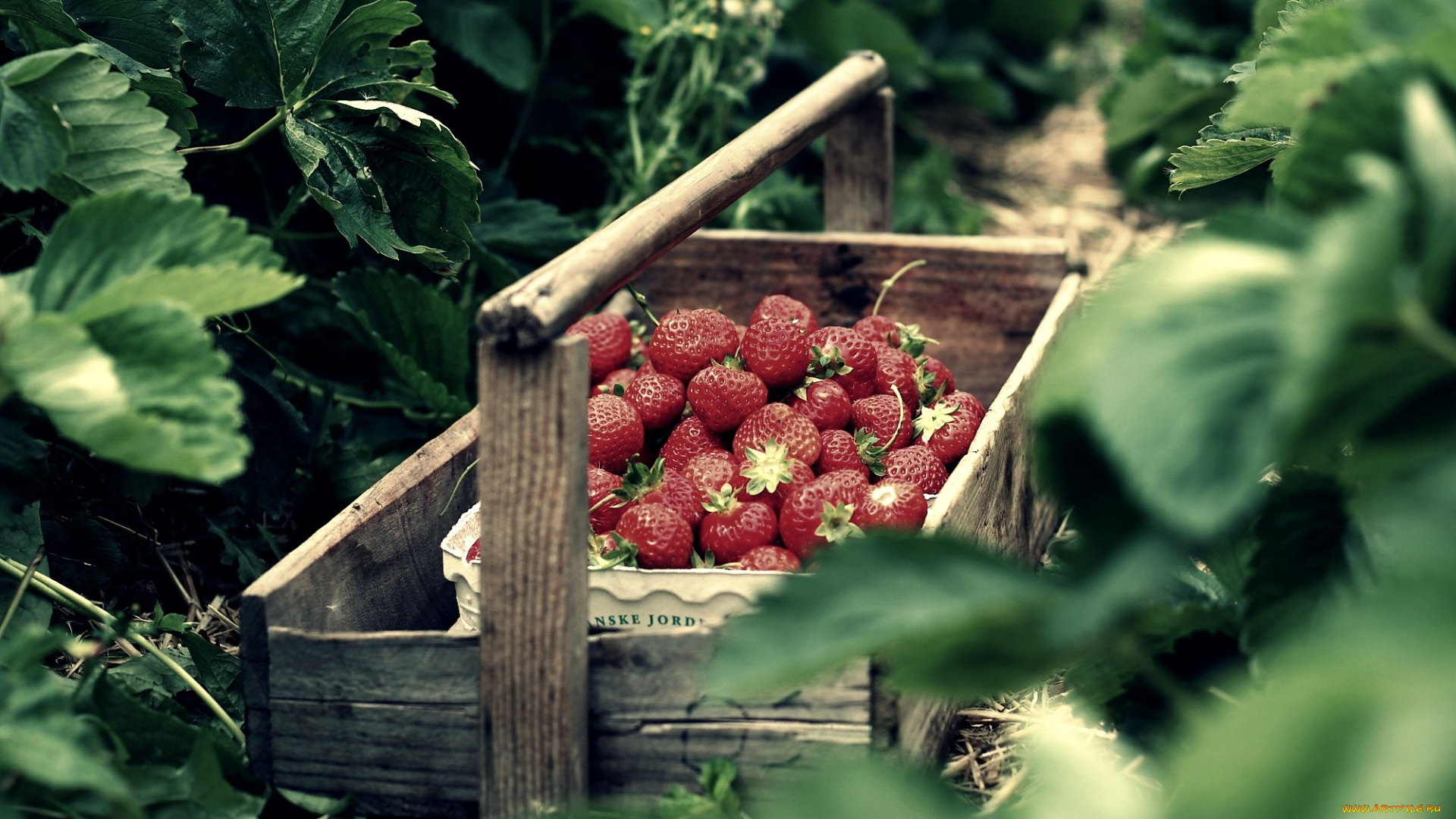 еда, клубника, земляника, ягоды, ящик