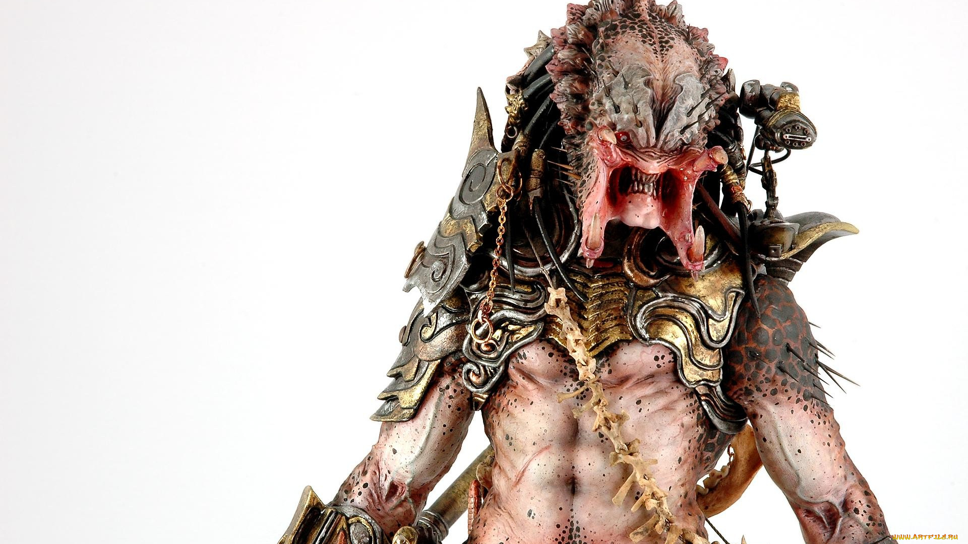 predator, фэнтези, существа, существо, хищник