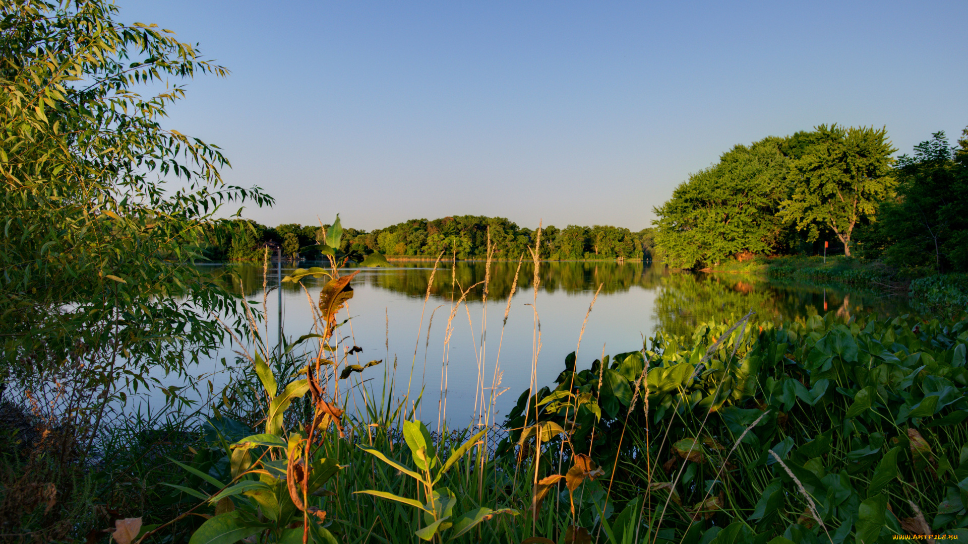 природа, реки, озера, миннесота