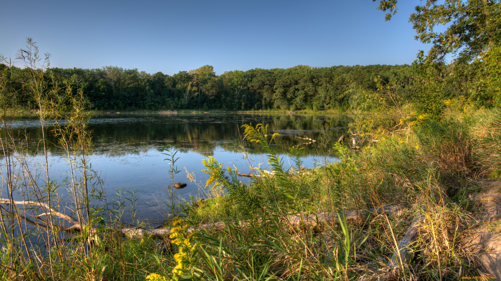 природа, реки, озера, миннесота