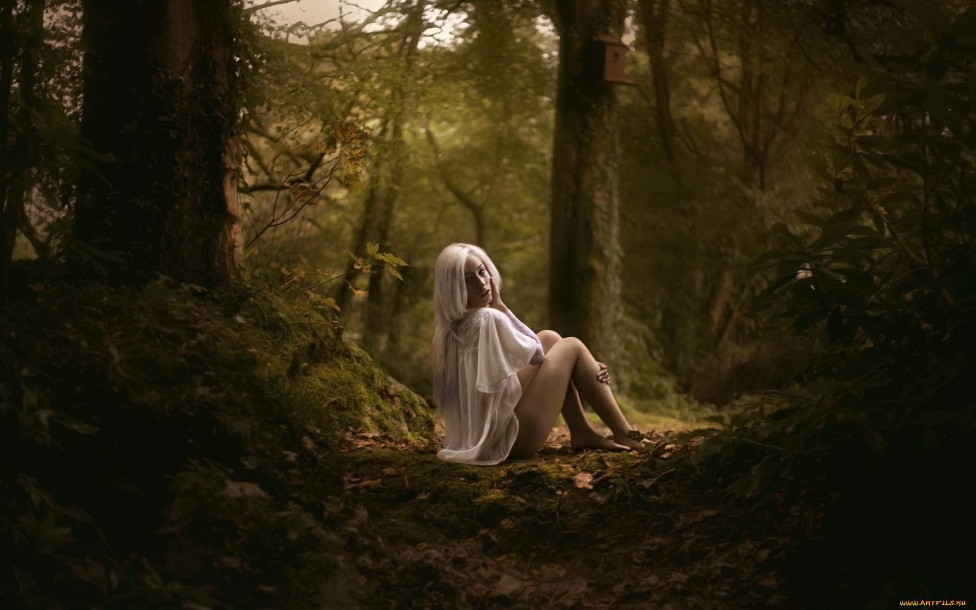 Fox, Willis, девушки, лес