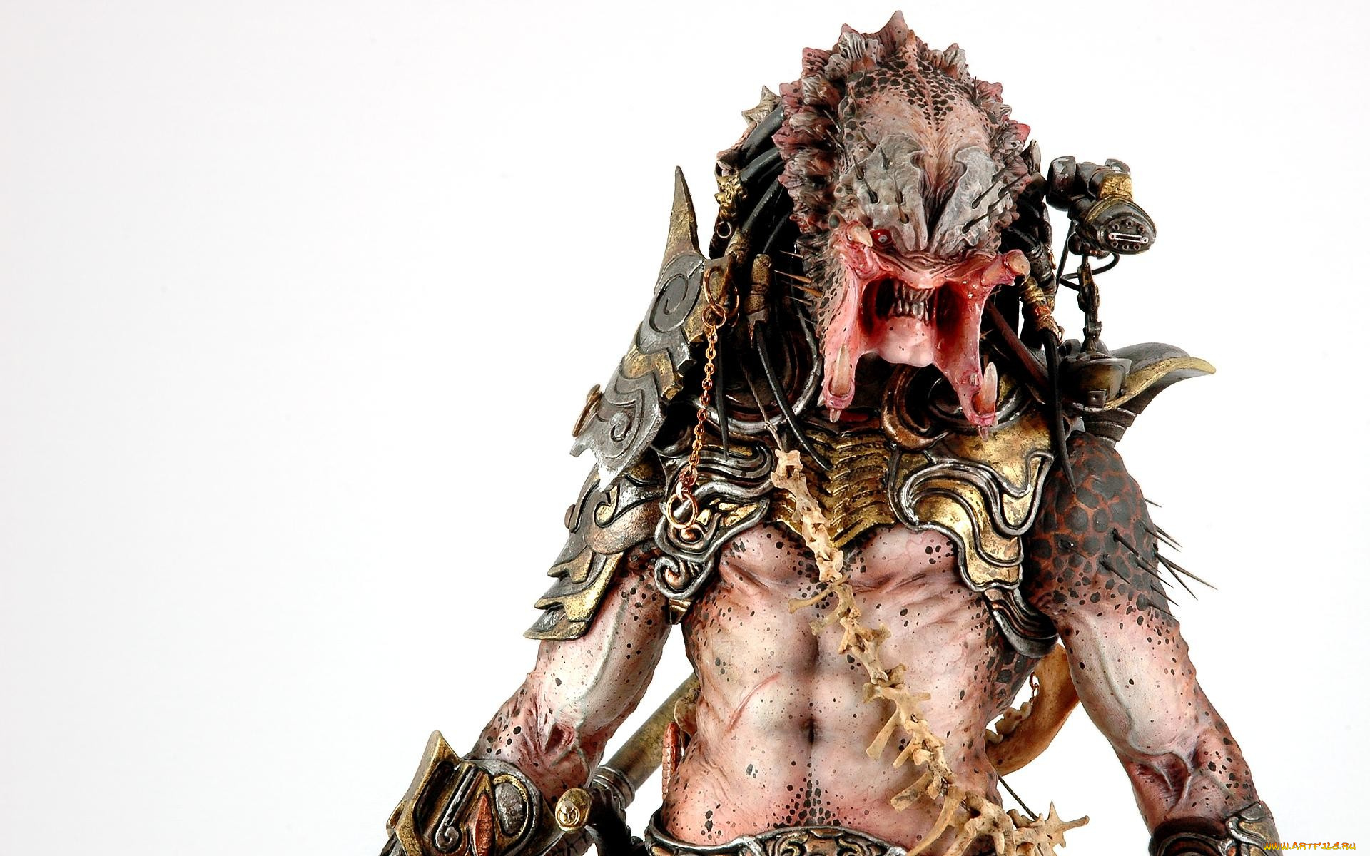 predator, фэнтези, существа, существо, хищник