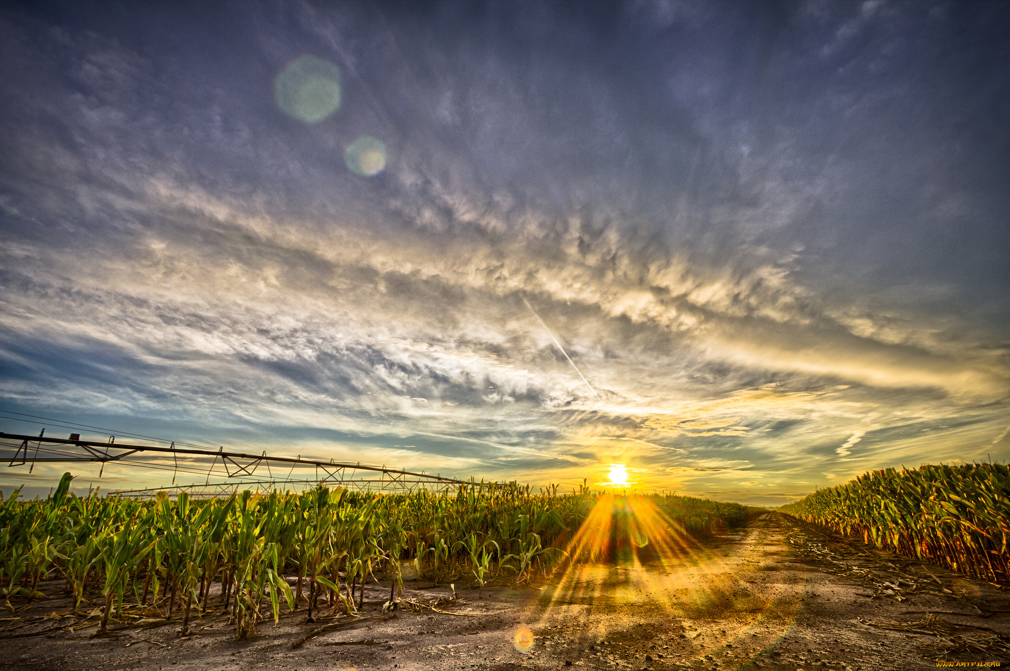 природа, восходы, закаты, дорога, солнце