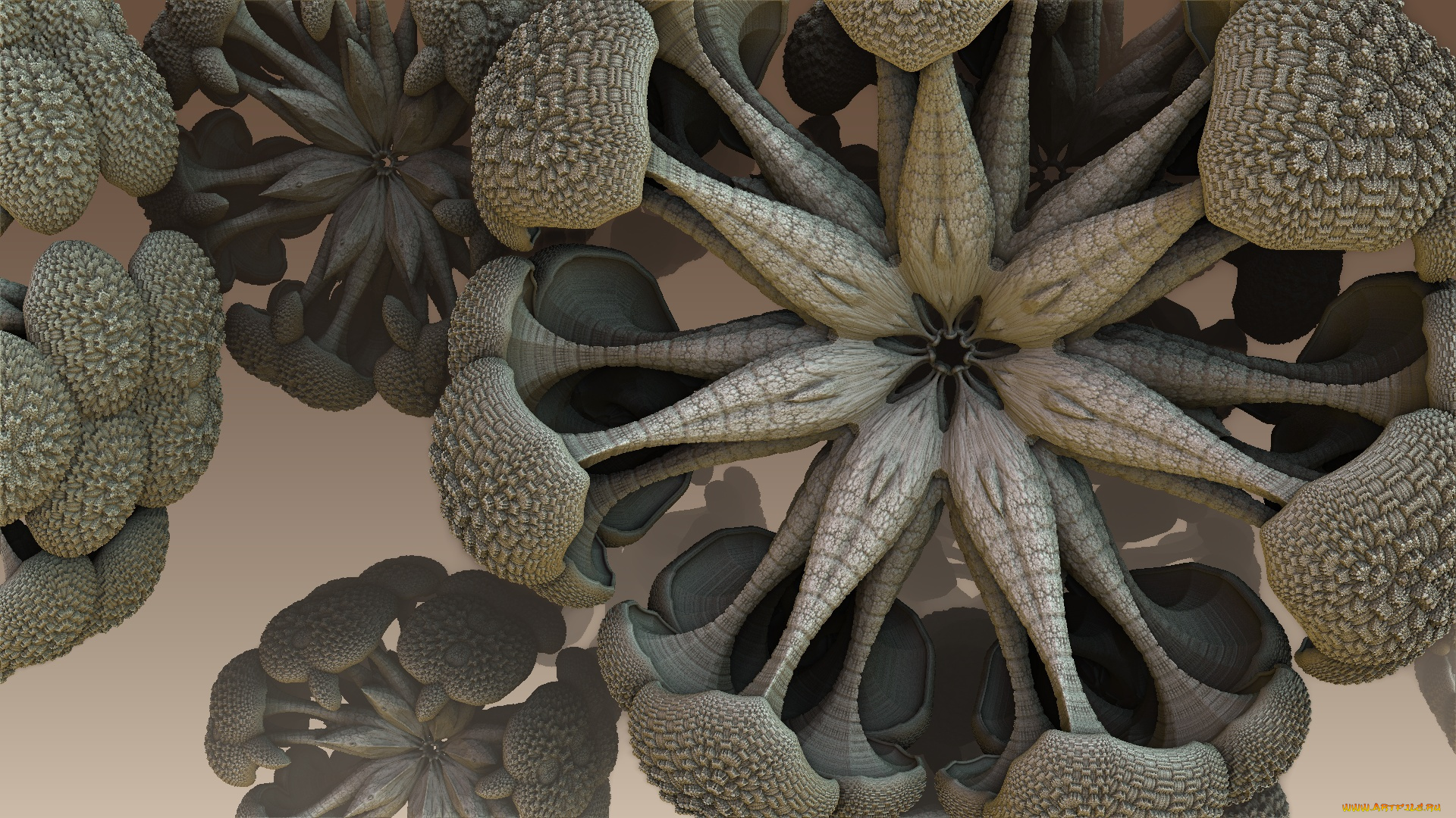 3д, графика, fractal, фракталы, узор, цвета, фон