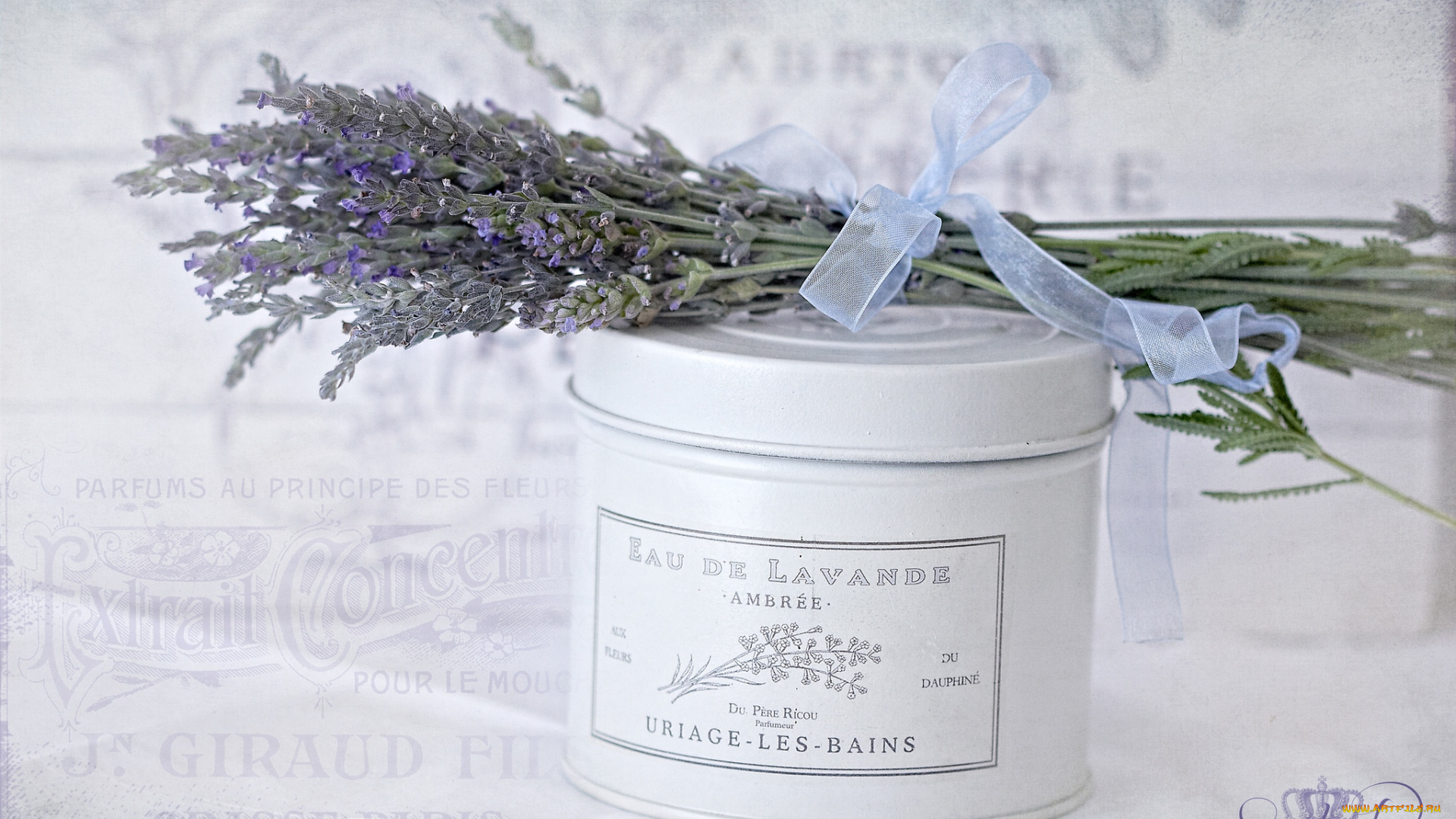цветы, лаванда, винтаж