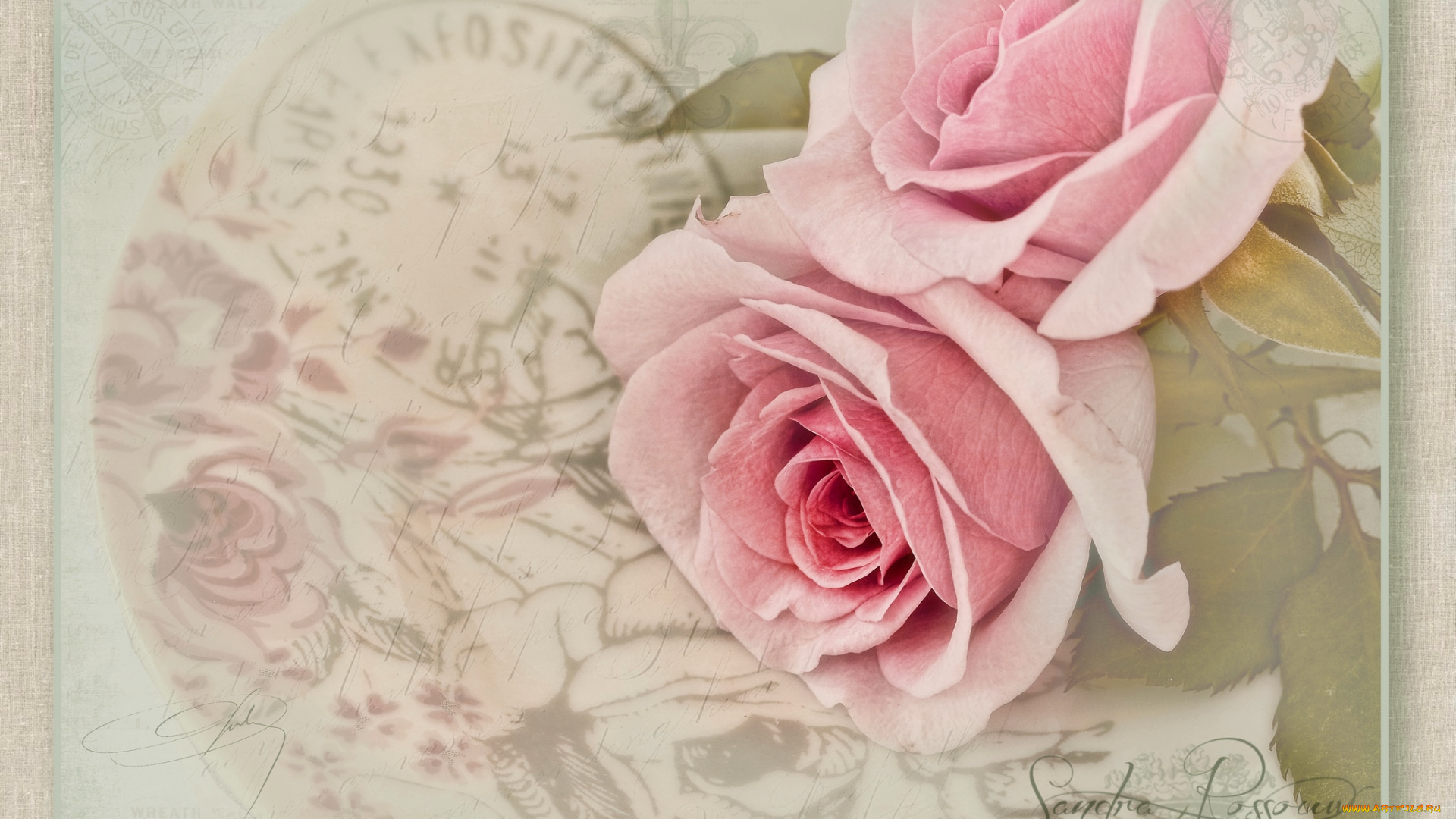 цветы, розы, винтаж