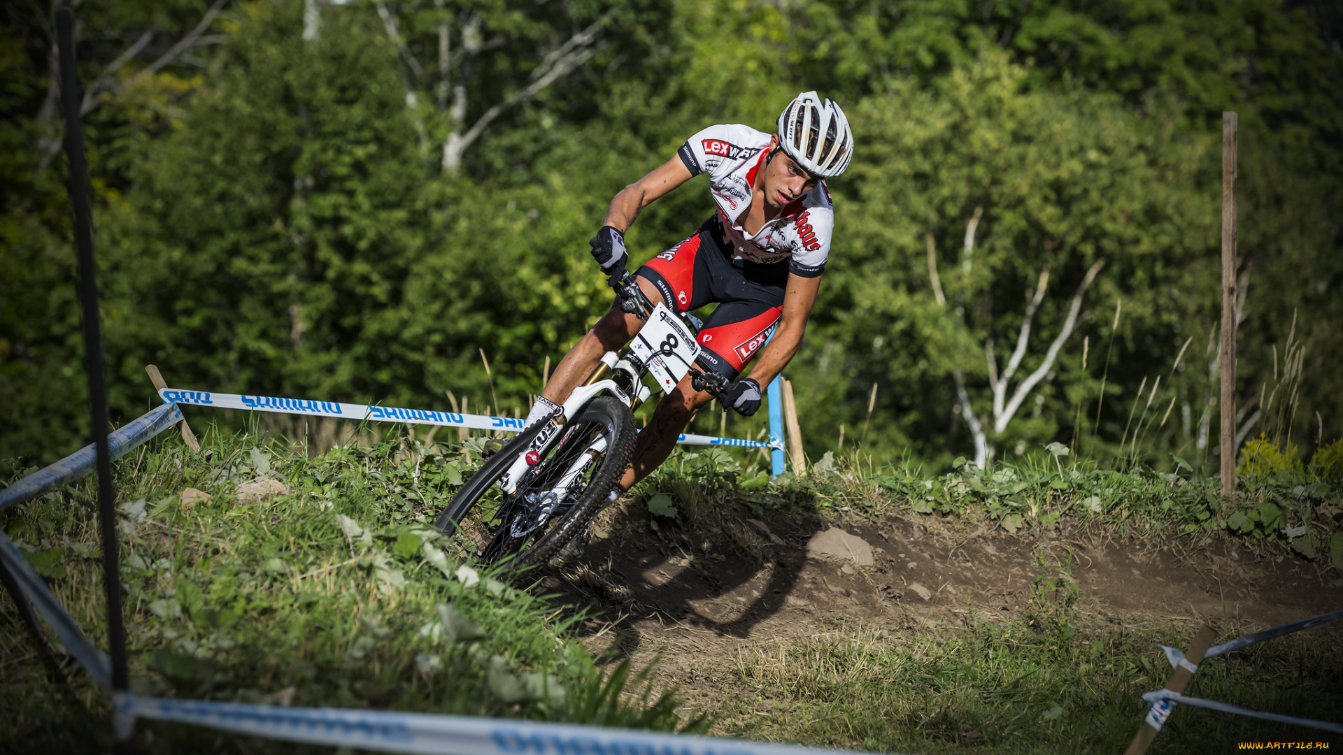 спорт, велоспорт, гонка, велосипед