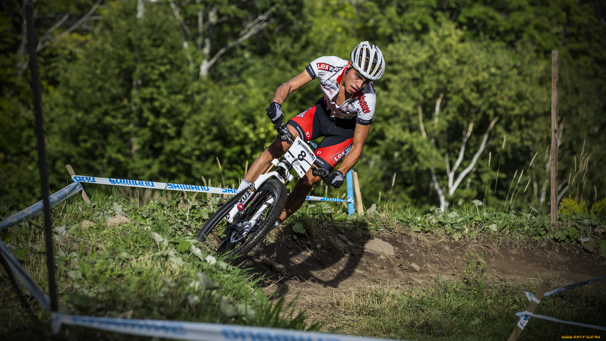 спорт, велоспорт, гонка, велосипед