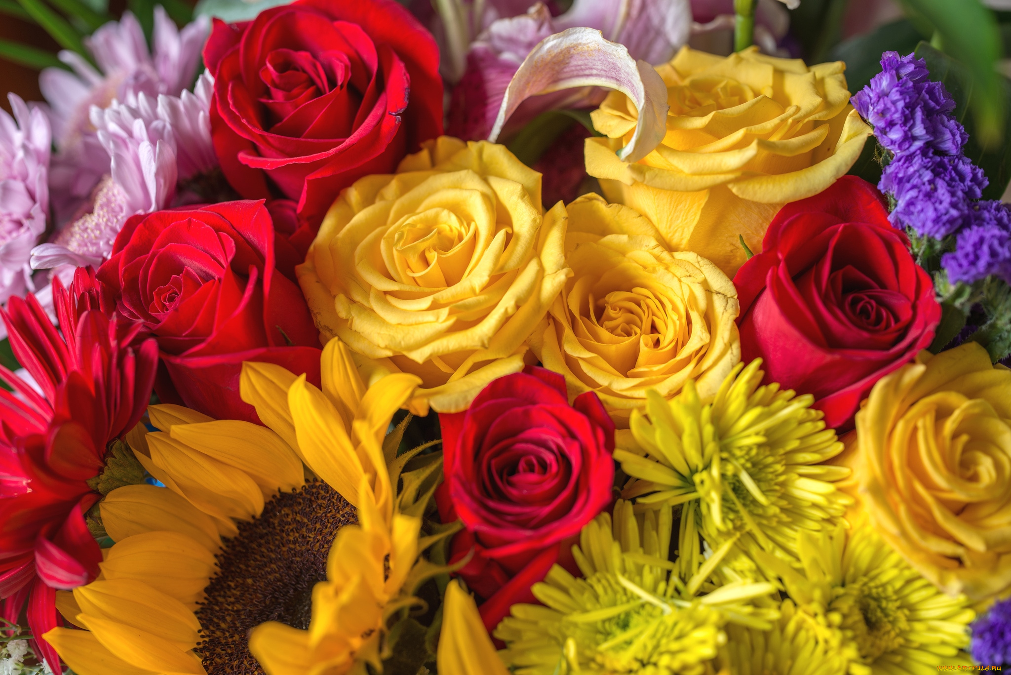цветы, разные, вместе, хризантемы, подсолнух, розы