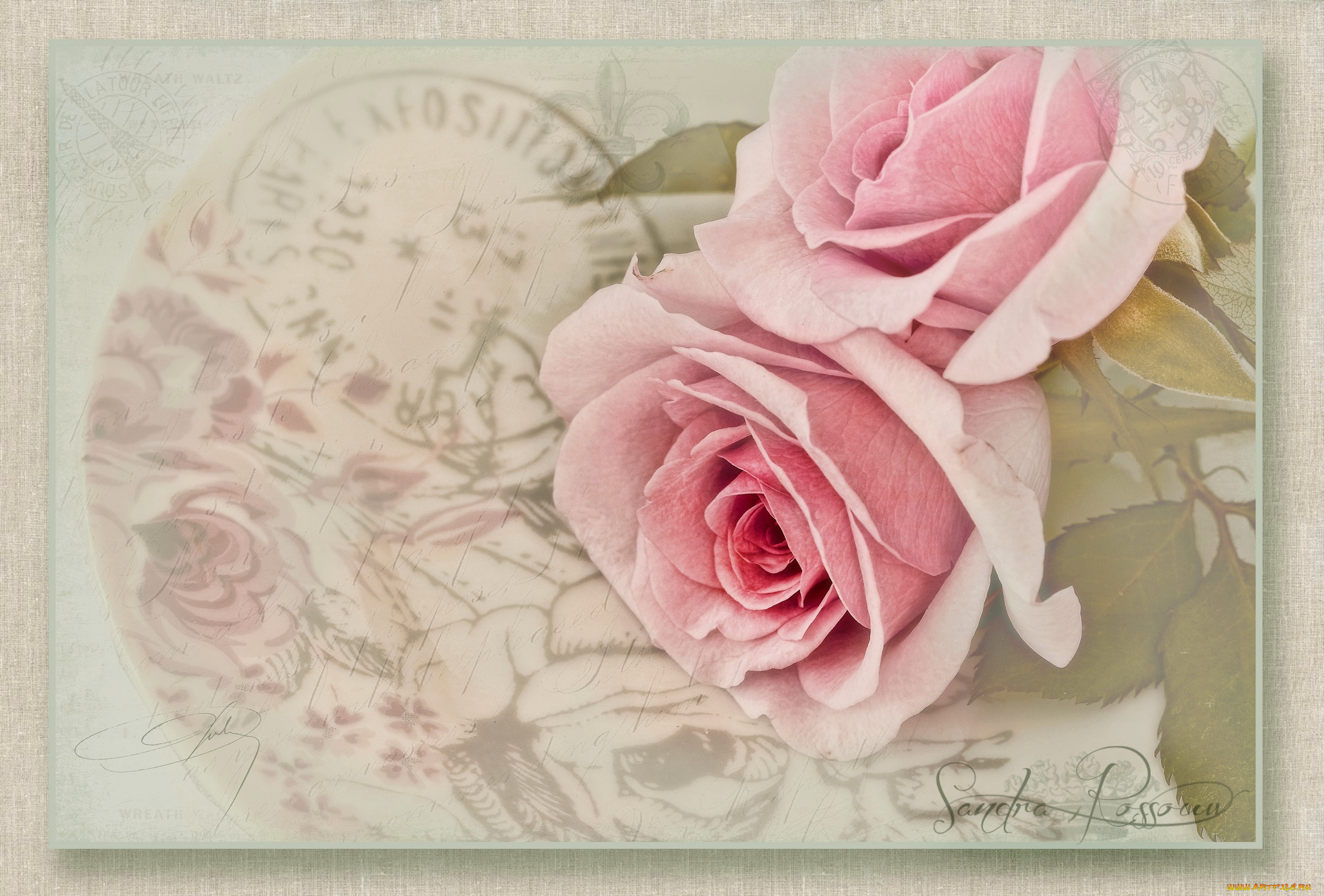 цветы, розы, винтаж