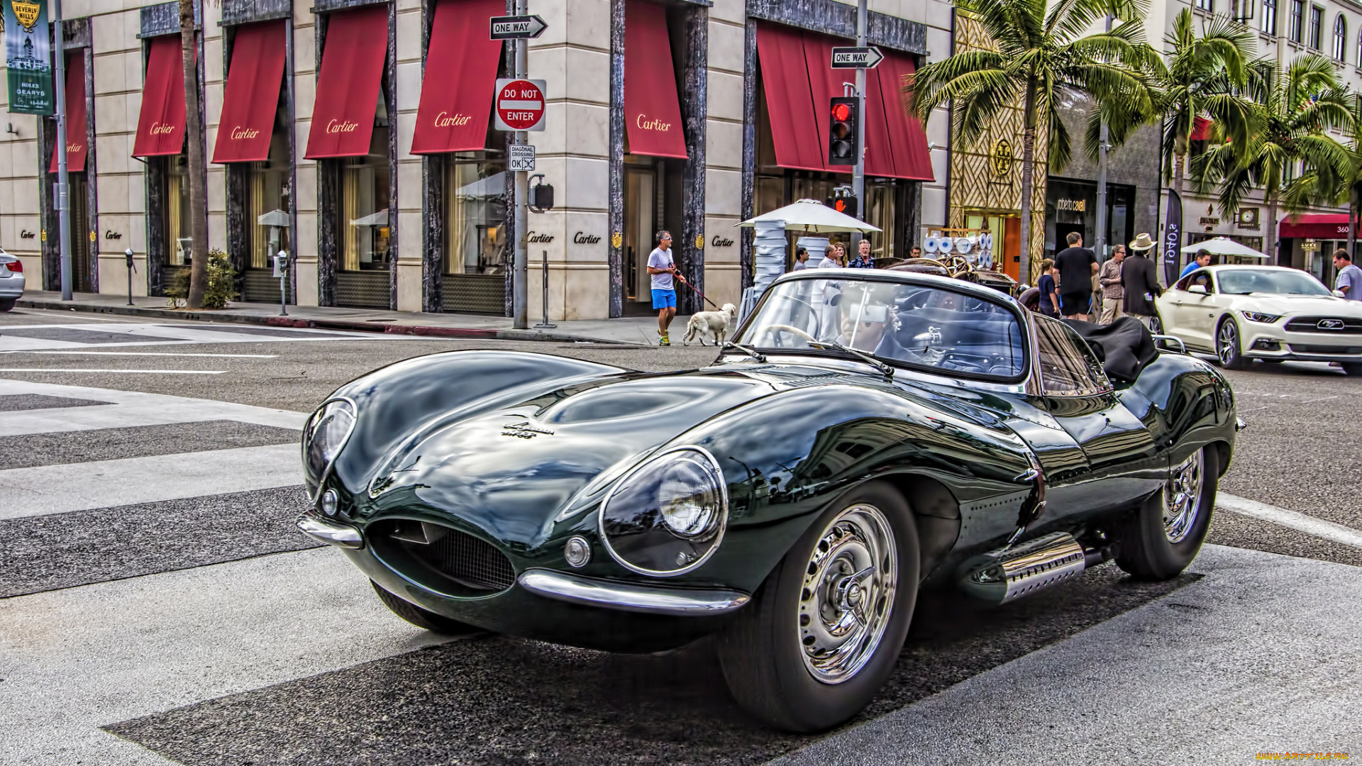 1956, jaguar, xkss, автомобили, выставки, и, уличные, фото, автошоу, выставка
