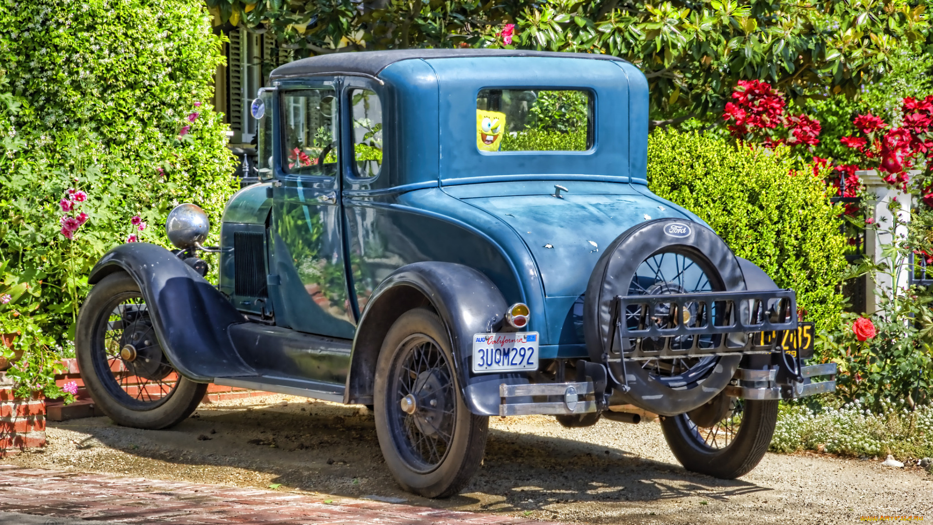 автомобили, выставки, и, уличные, фото, выставка, автошоу