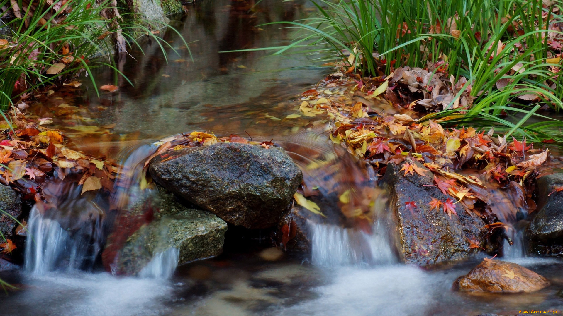природа, реки, озера, камни